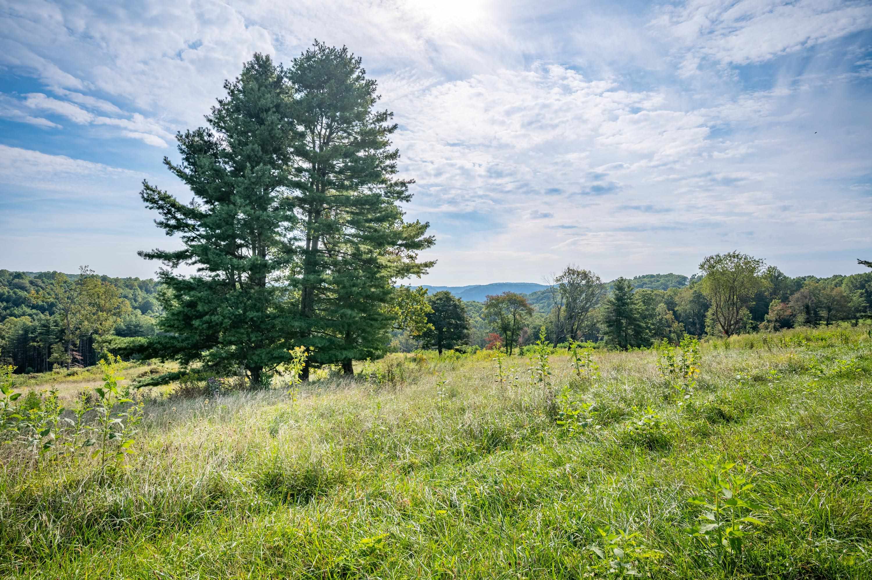 49 Pinnacle Lane Meadows Of Dan VA 24120