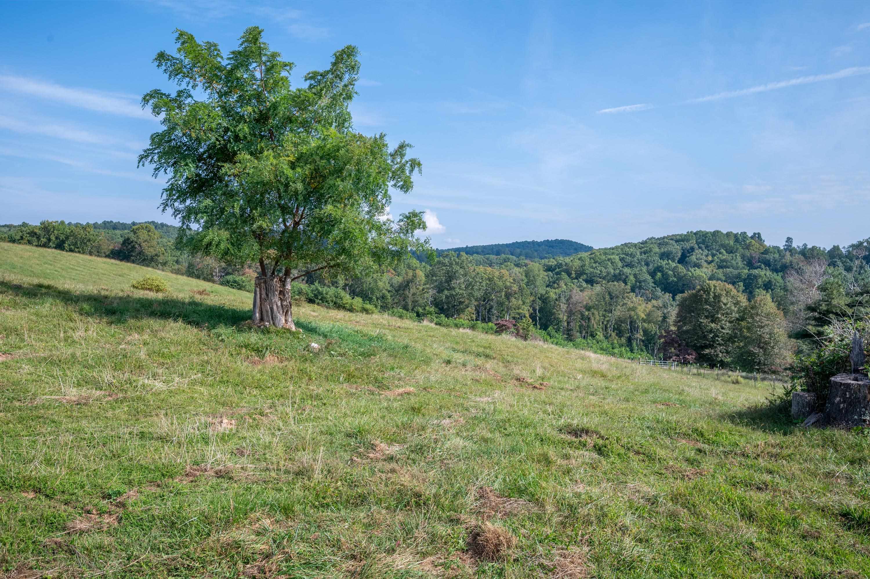 49 Pinnacle Lane Meadows Of Dan VA 24120