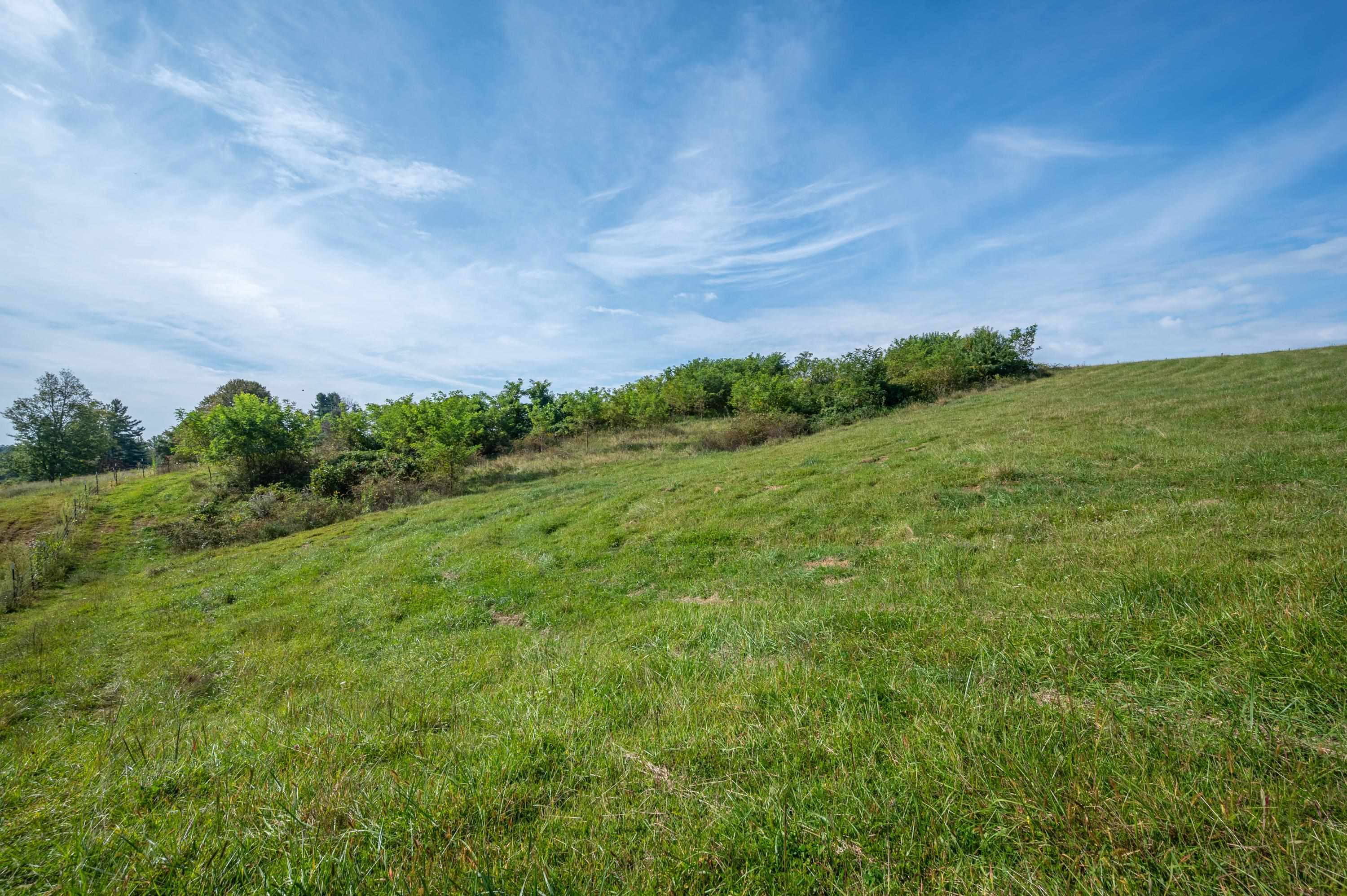 49 Pinnacle Lane Meadows Of Dan VA 24120