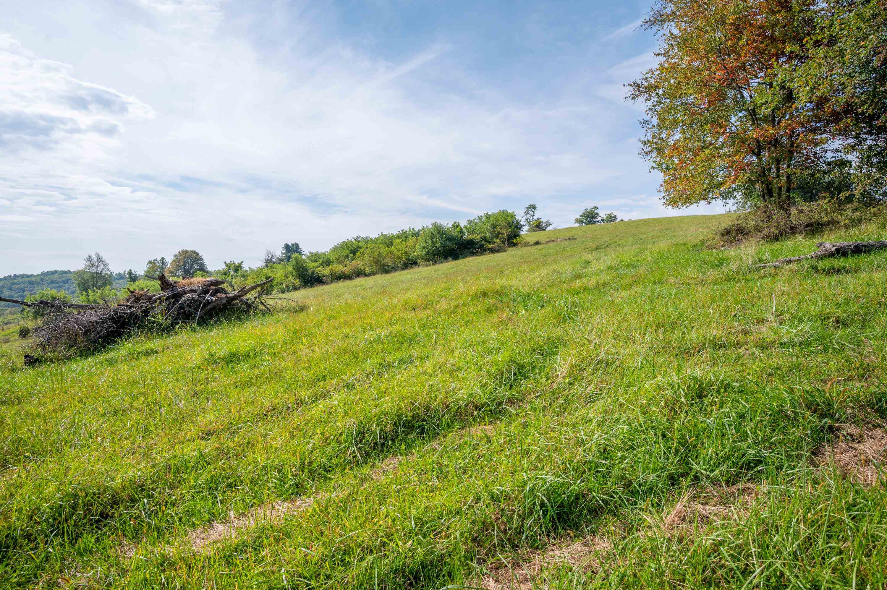 49 Pinnacle Lane Meadows Of Dan VA 24120