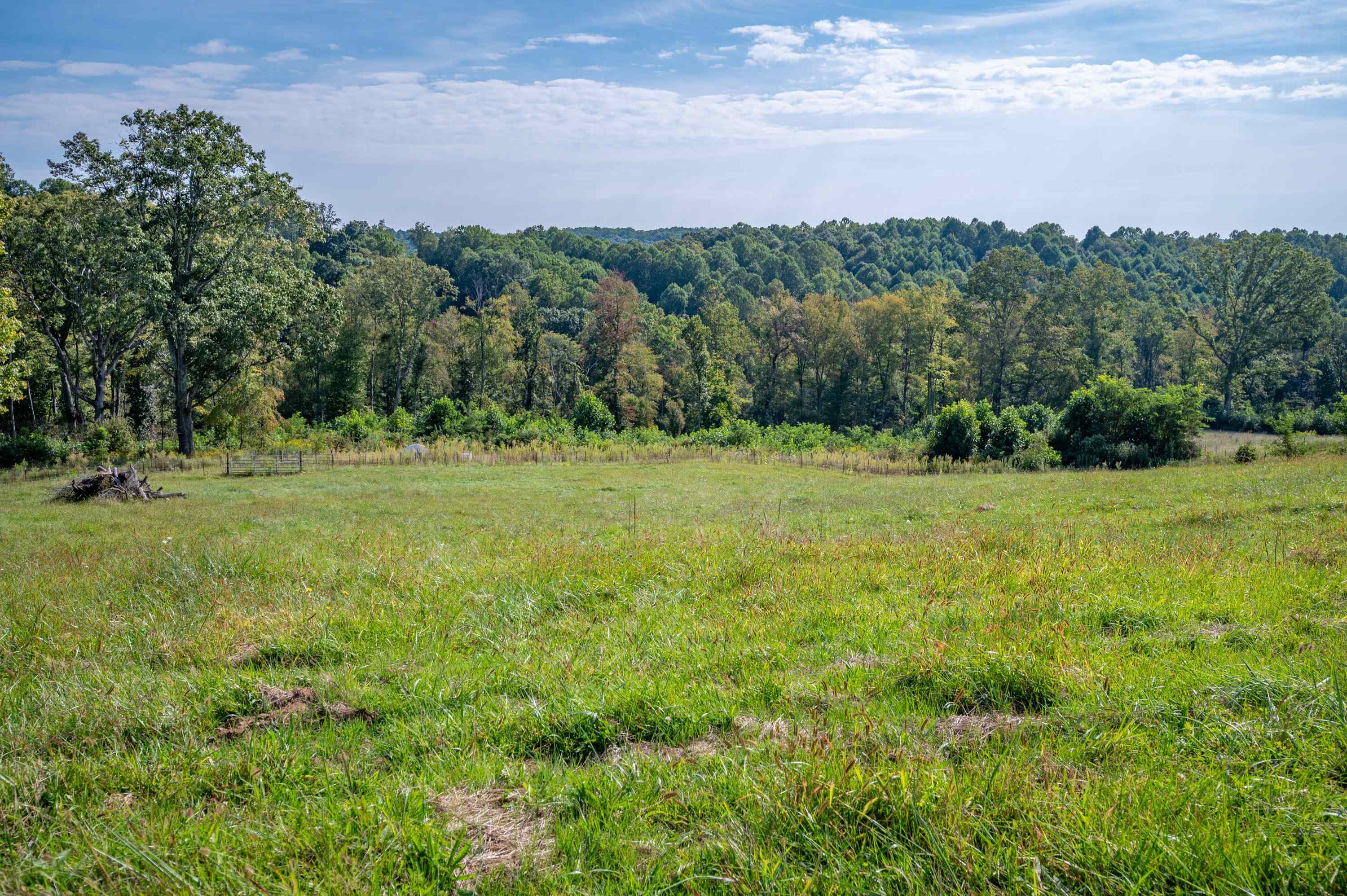 49 Pinnacle Lane Meadows Of Dan VA 24120