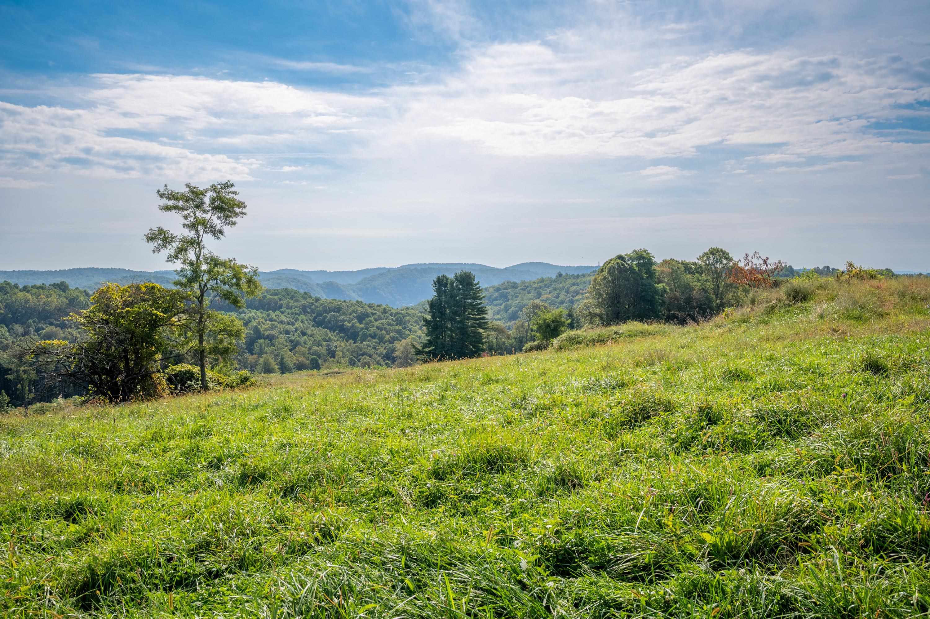 49 Pinnacle Lane Meadows Of Dan VA 24120