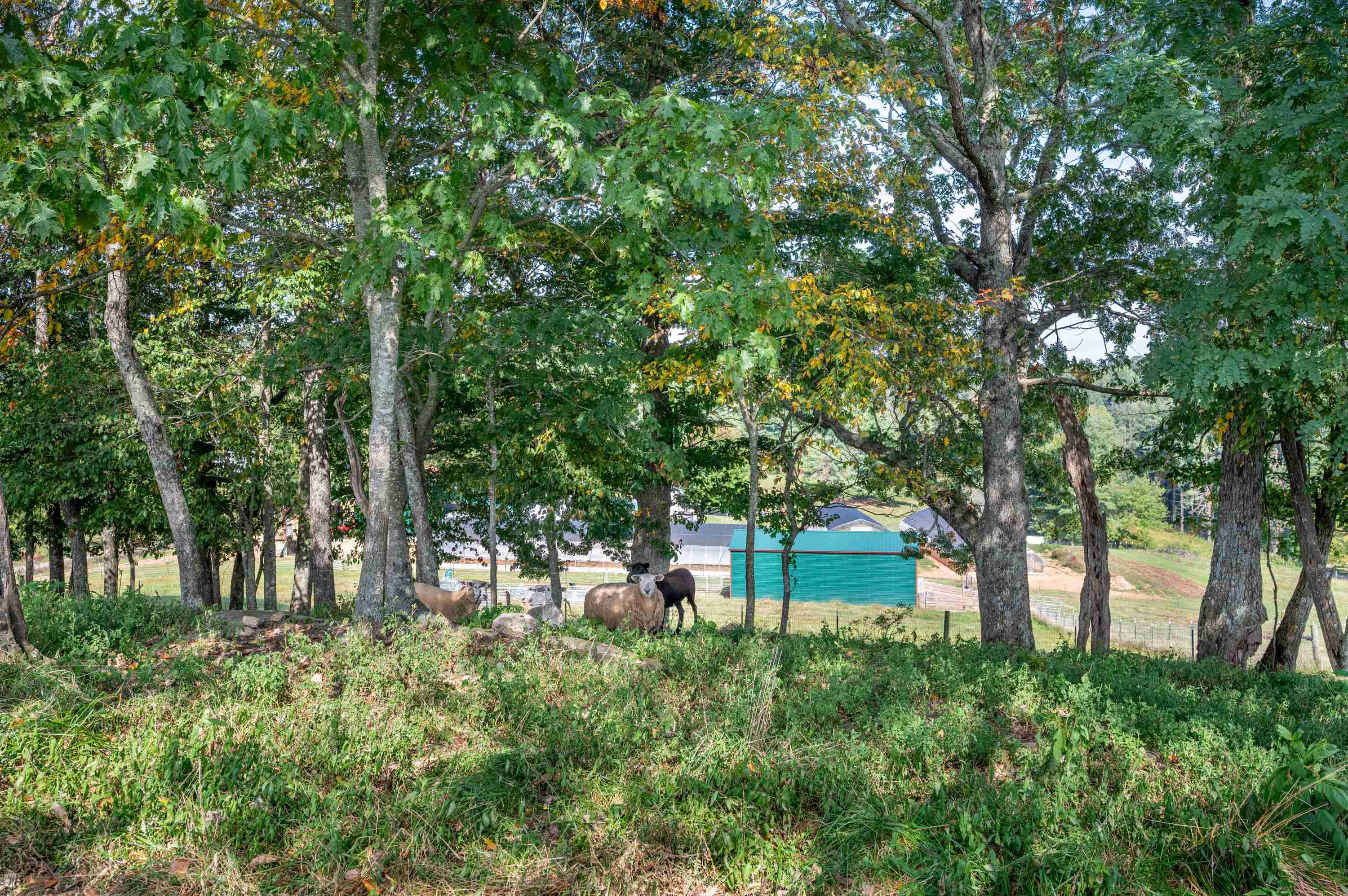 49 Pinnacle Lane Meadows Of Dan VA 24120