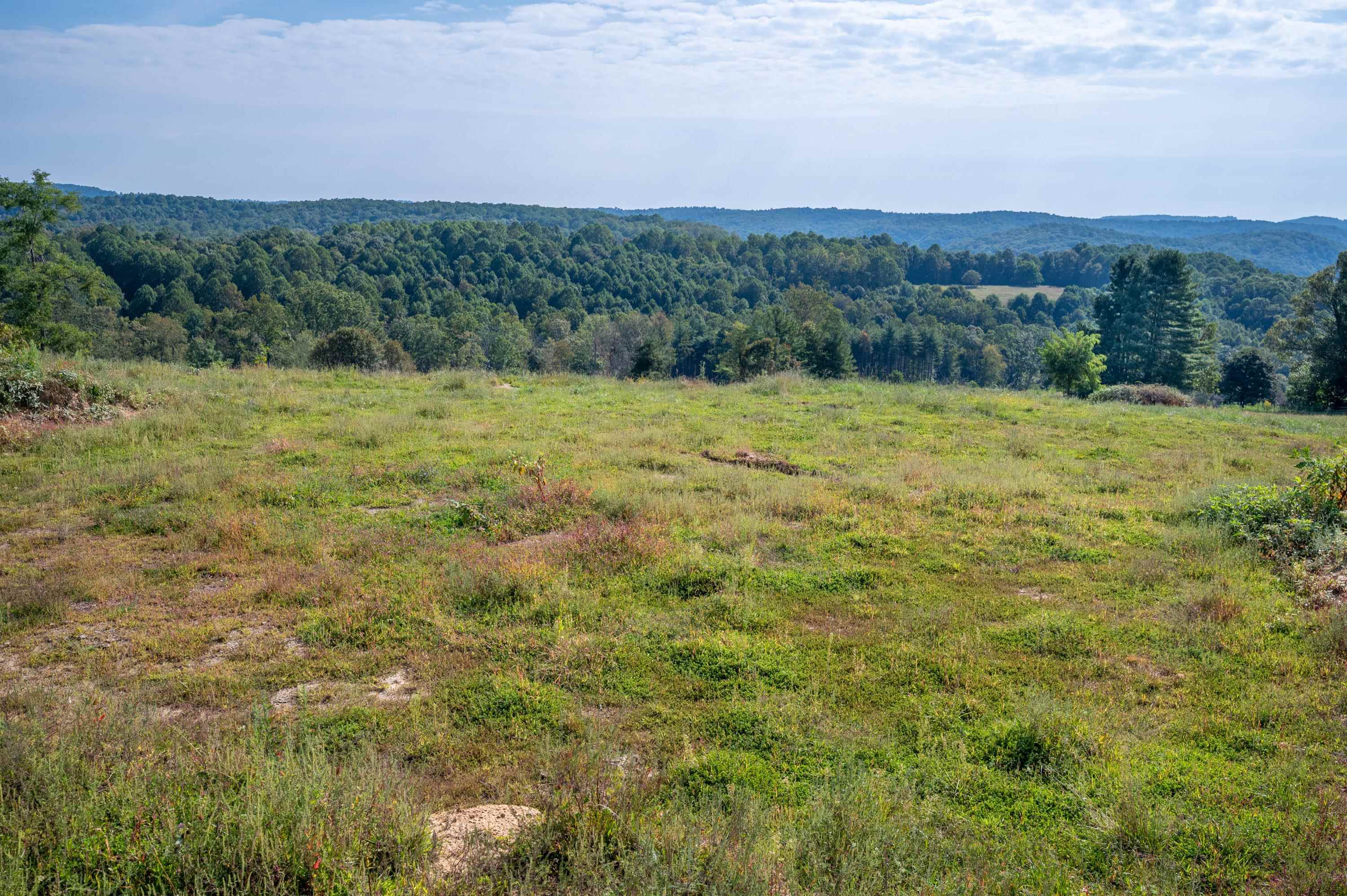 49 Pinnacle Lane Meadows Of Dan VA 24120