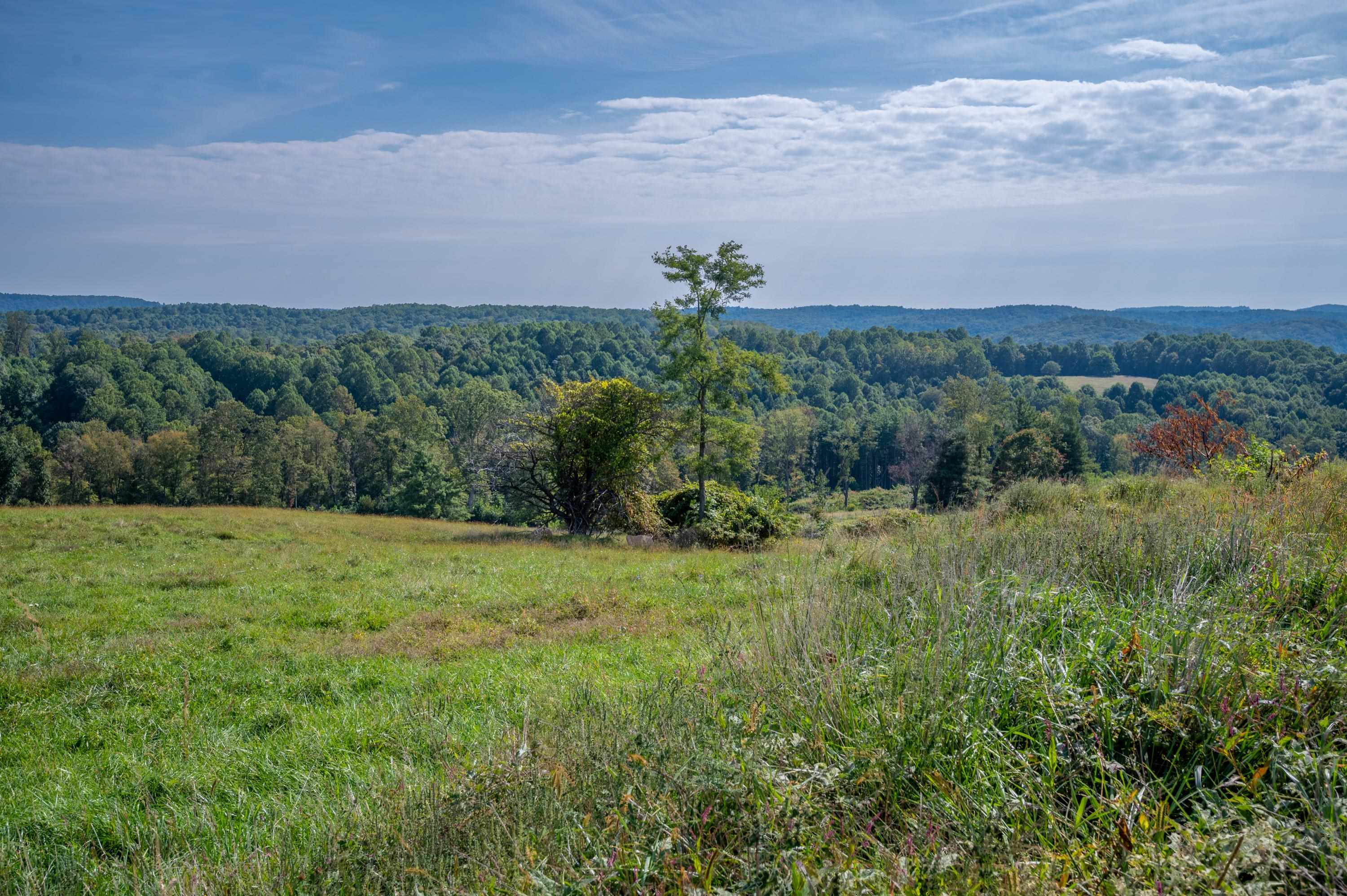 49 Pinnacle Lane Meadows Of Dan VA 24120