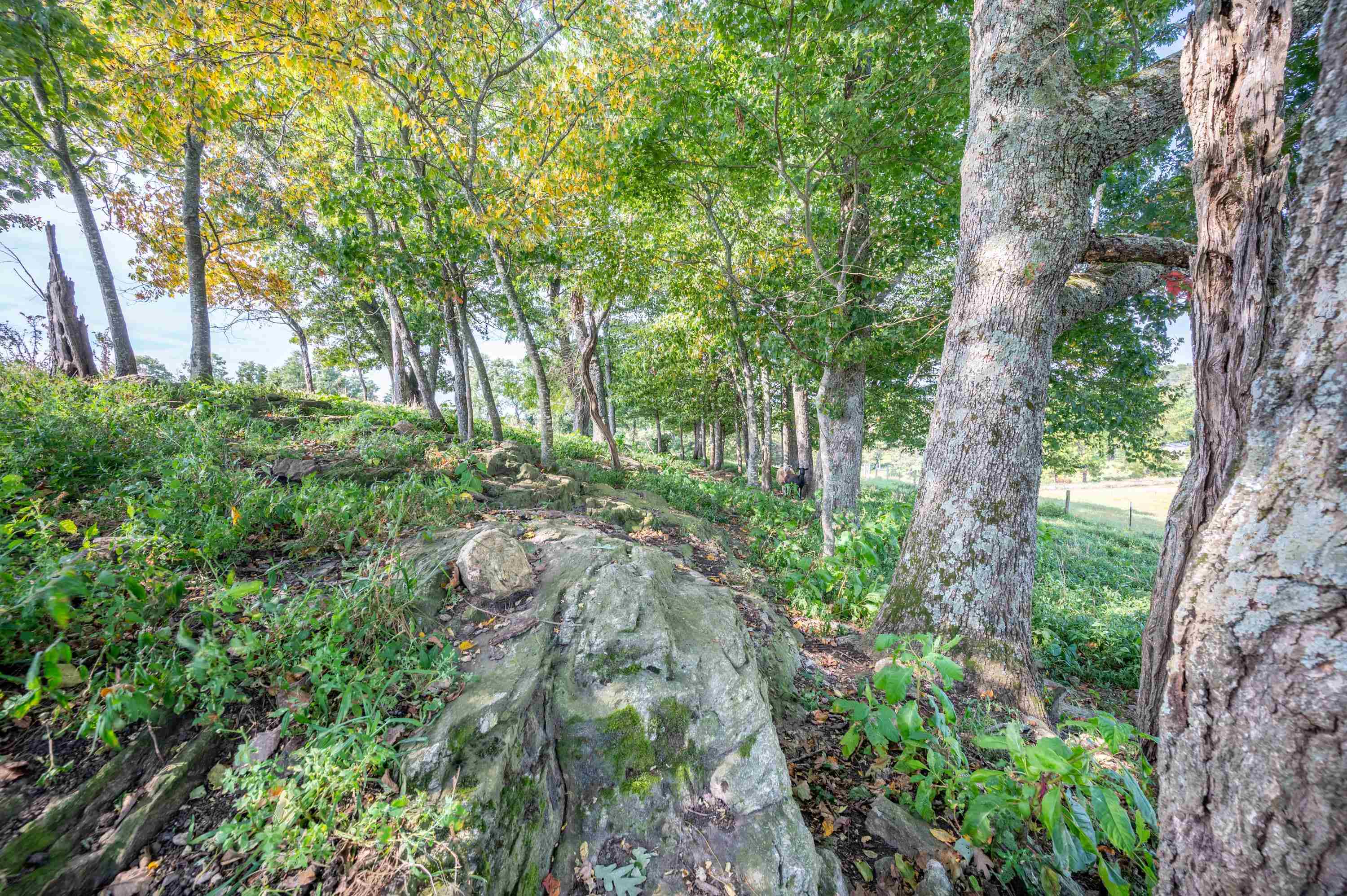 49 Pinnacle Lane Meadows Of Dan VA 24120