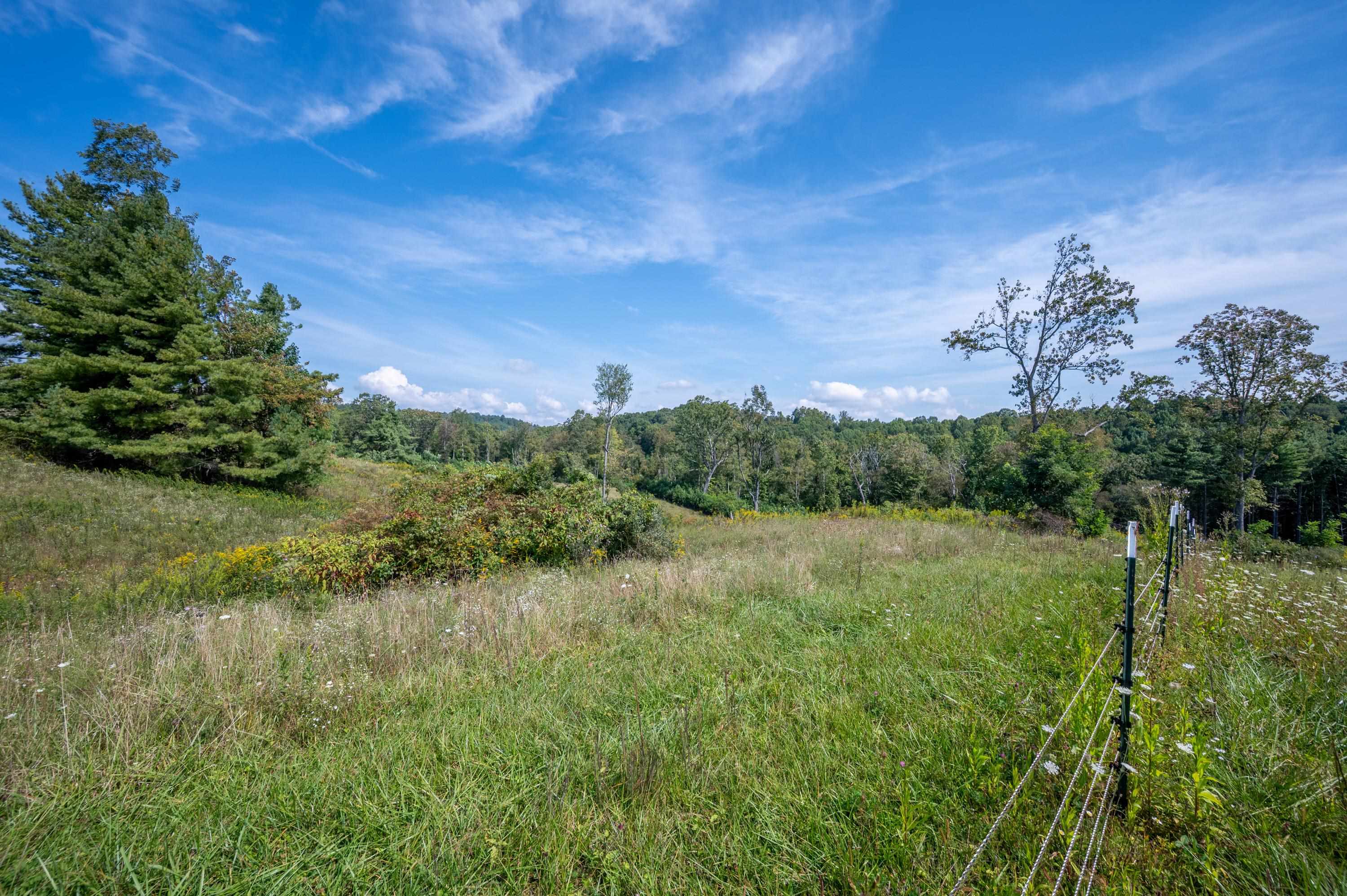 49 Pinnacle Lane Meadows Of Dan VA 24120