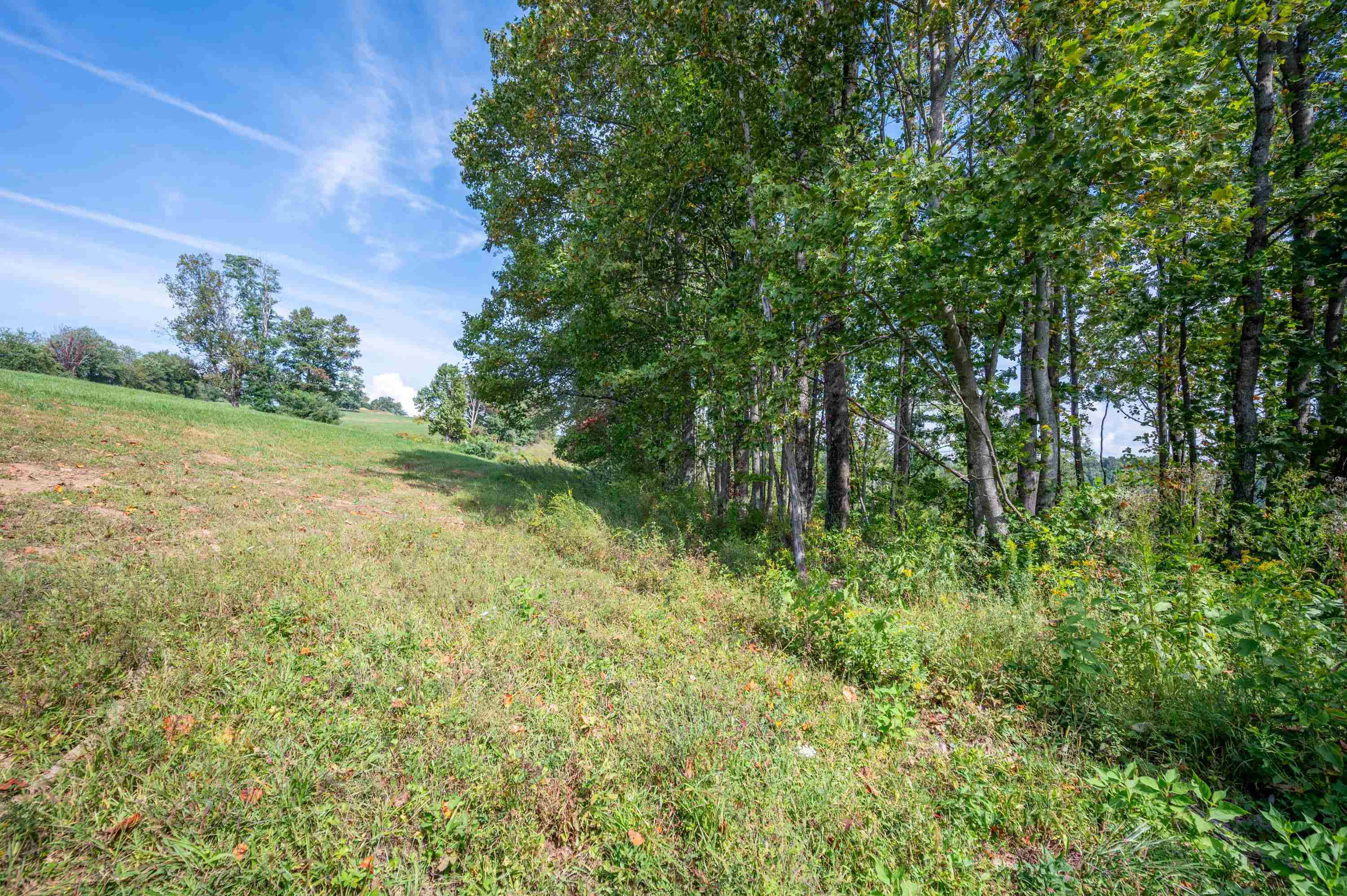 49 Pinnacle Lane Meadows Of Dan VA 24120