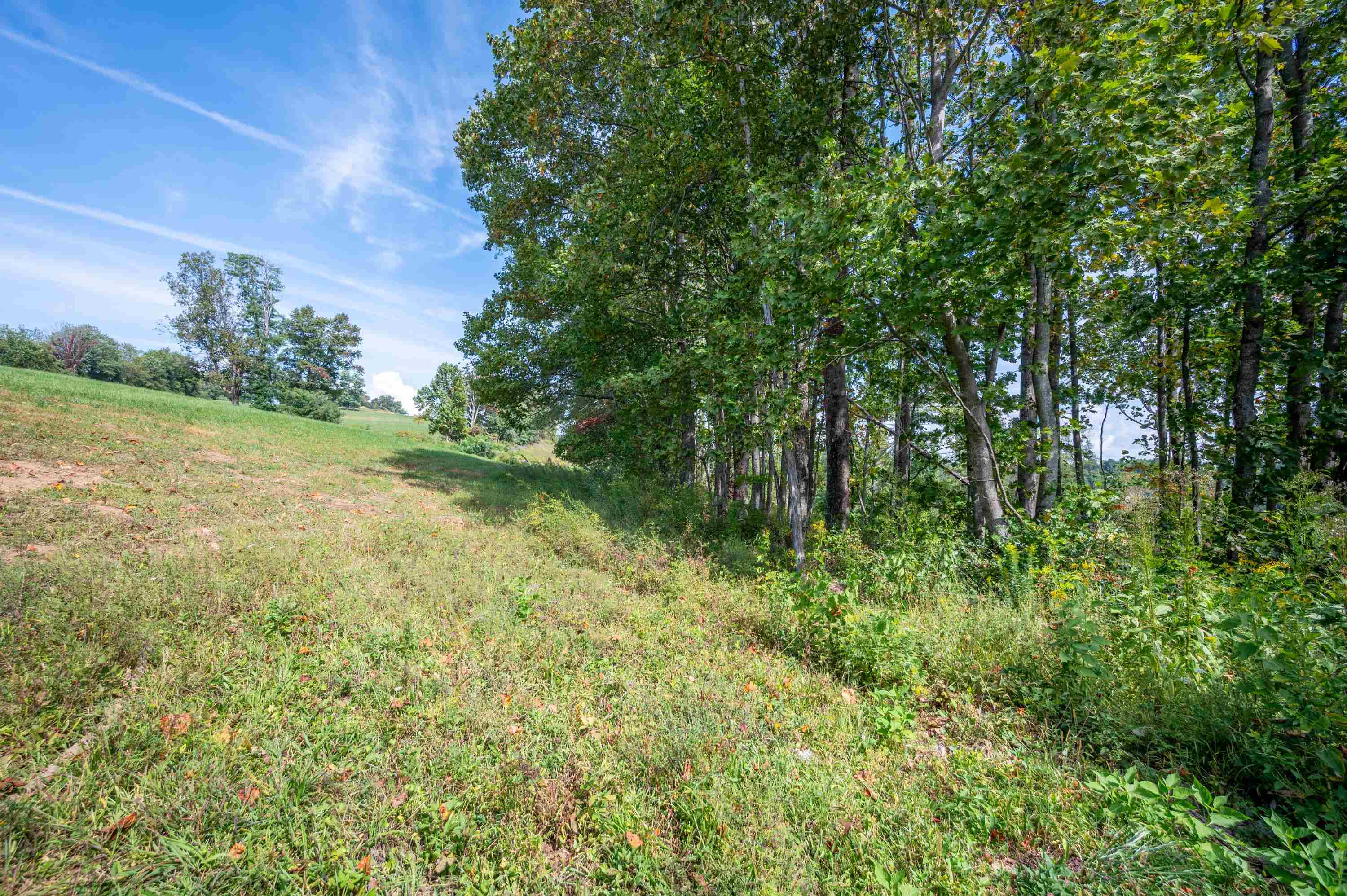 49 Pinnacle Lane Meadows Of Dan VA 24120