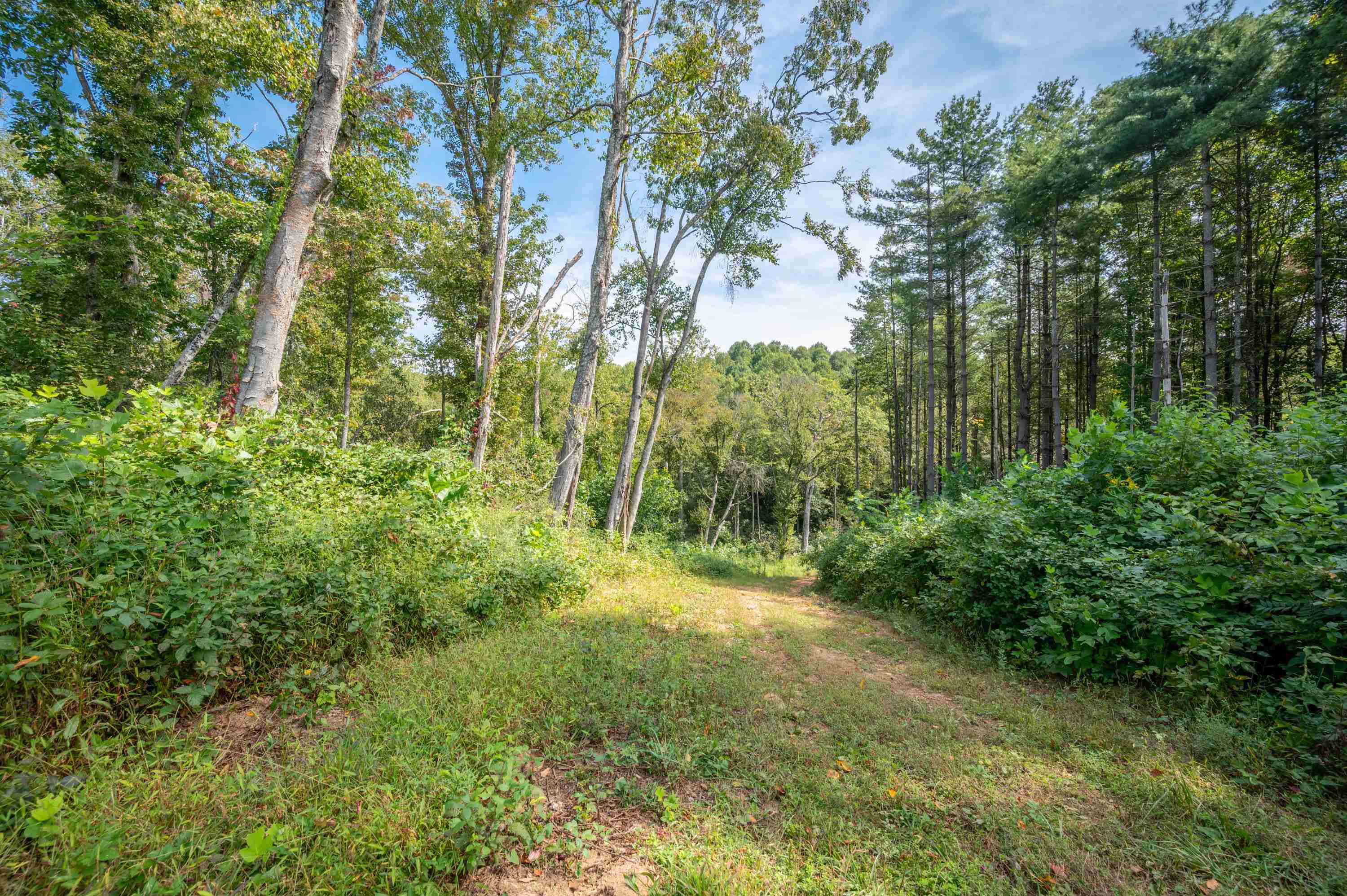 49 Pinnacle Lane Meadows Of Dan VA 24120