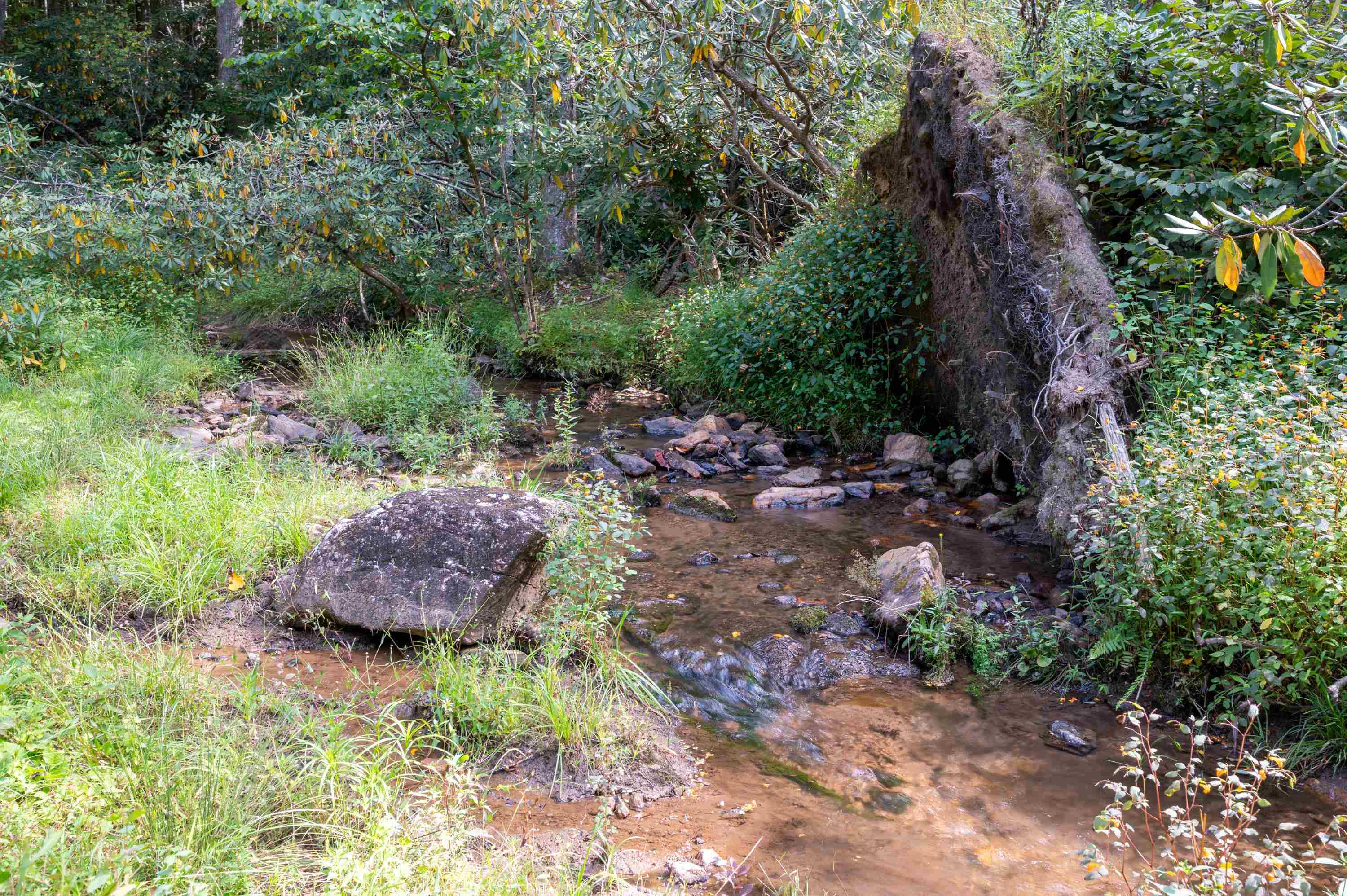 49 Pinnacle Lane Meadows Of Dan VA 24120