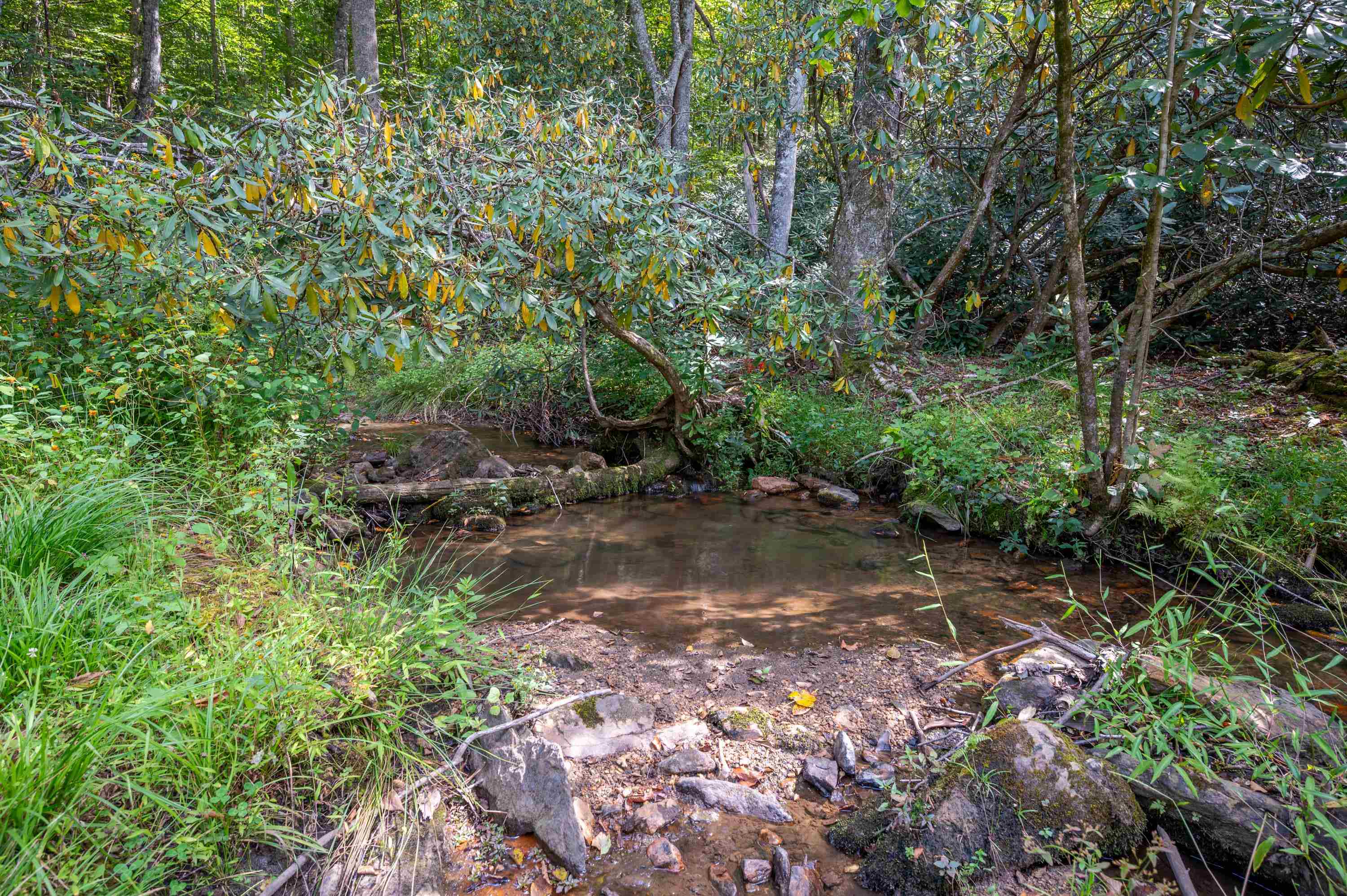 49 Pinnacle Lane Meadows Of Dan VA 24120