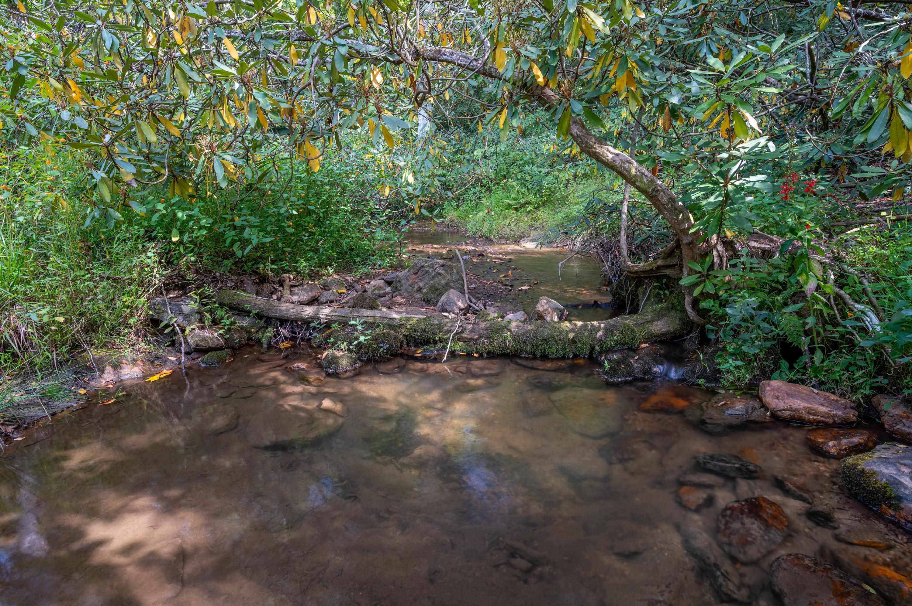 49 Pinnacle Lane Meadows Of Dan VA 24120