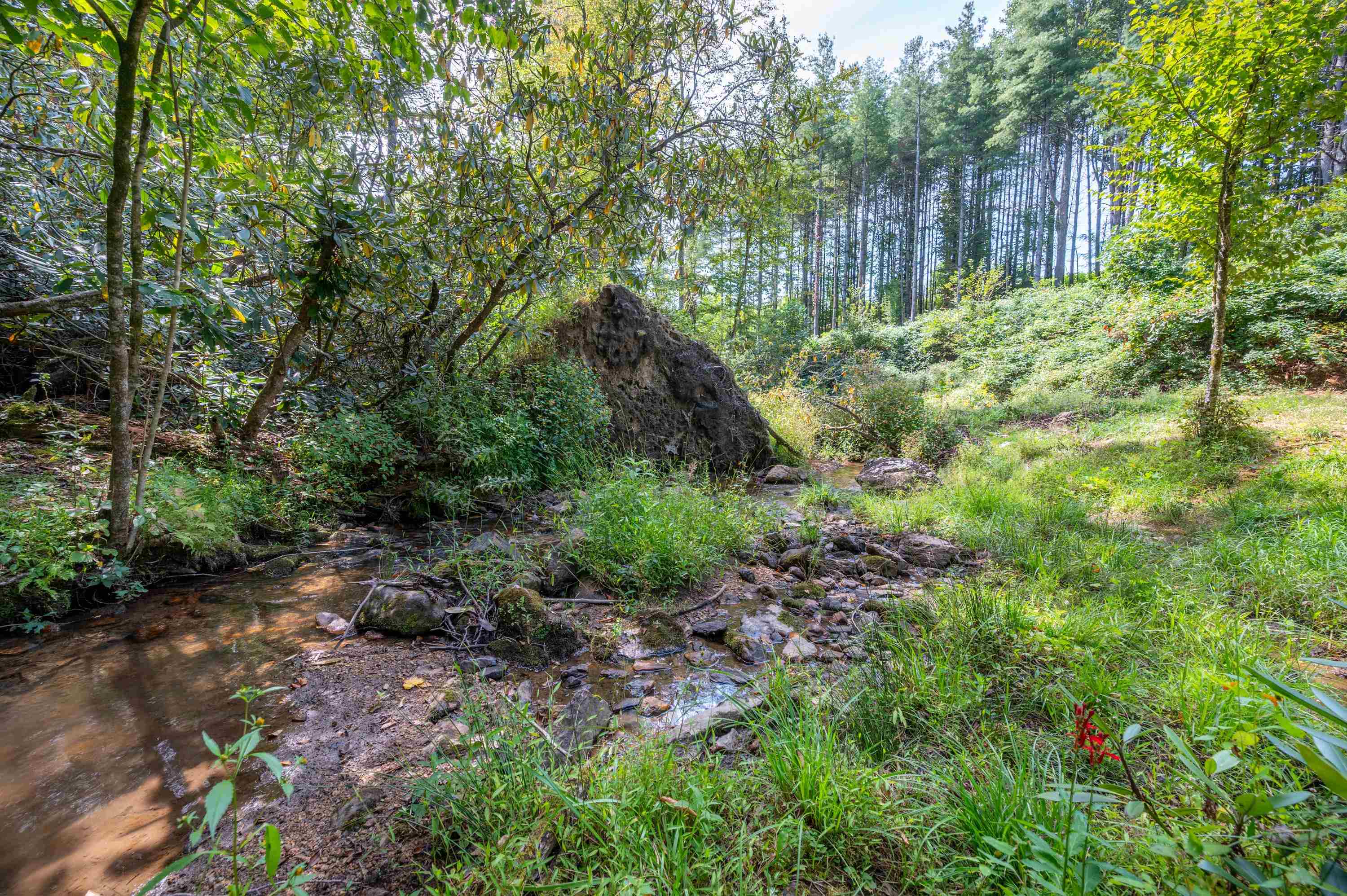 49 Pinnacle Lane Meadows Of Dan VA 24120