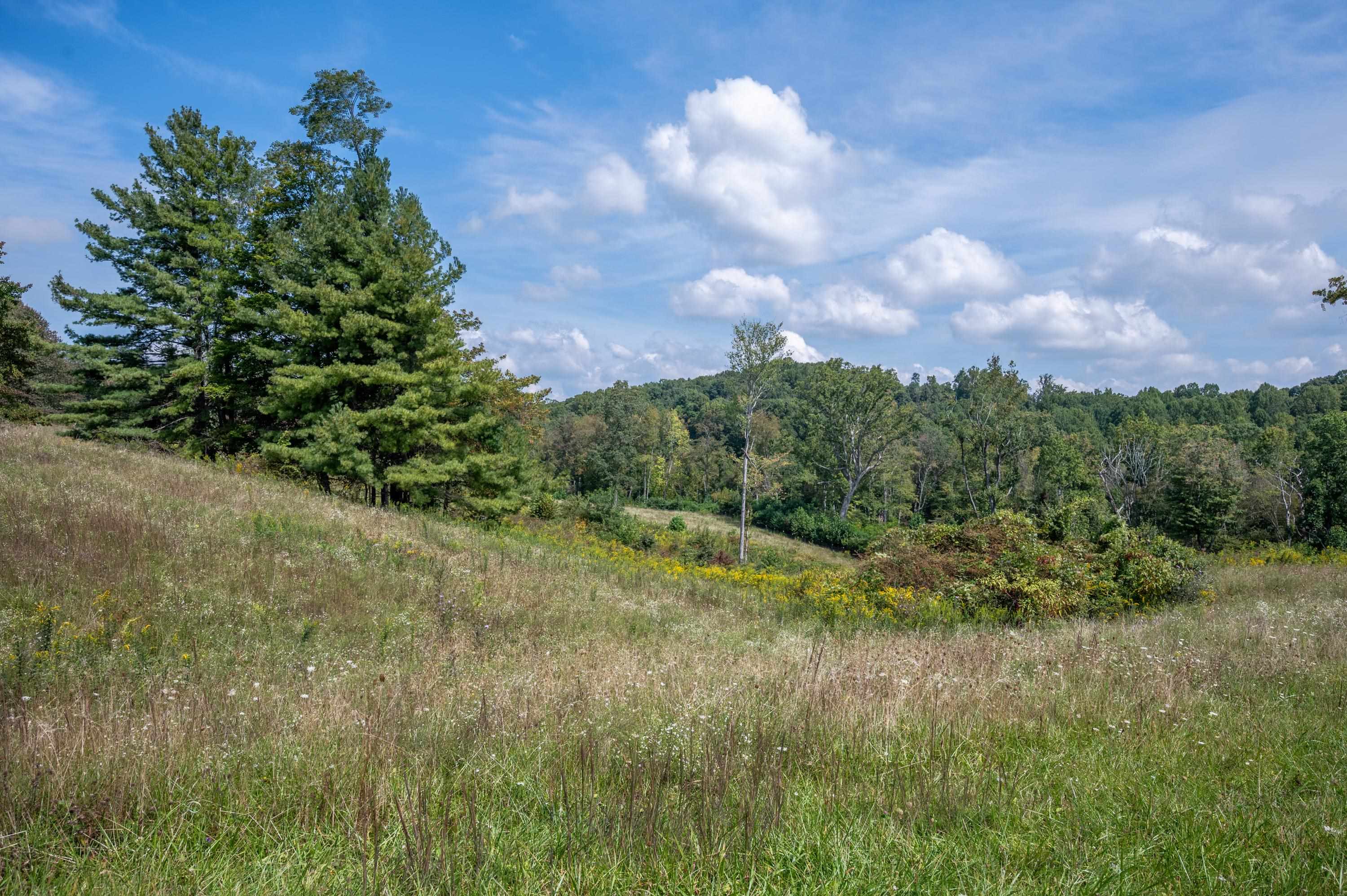 49 Pinnacle Lane Meadows Of Dan VA 24120