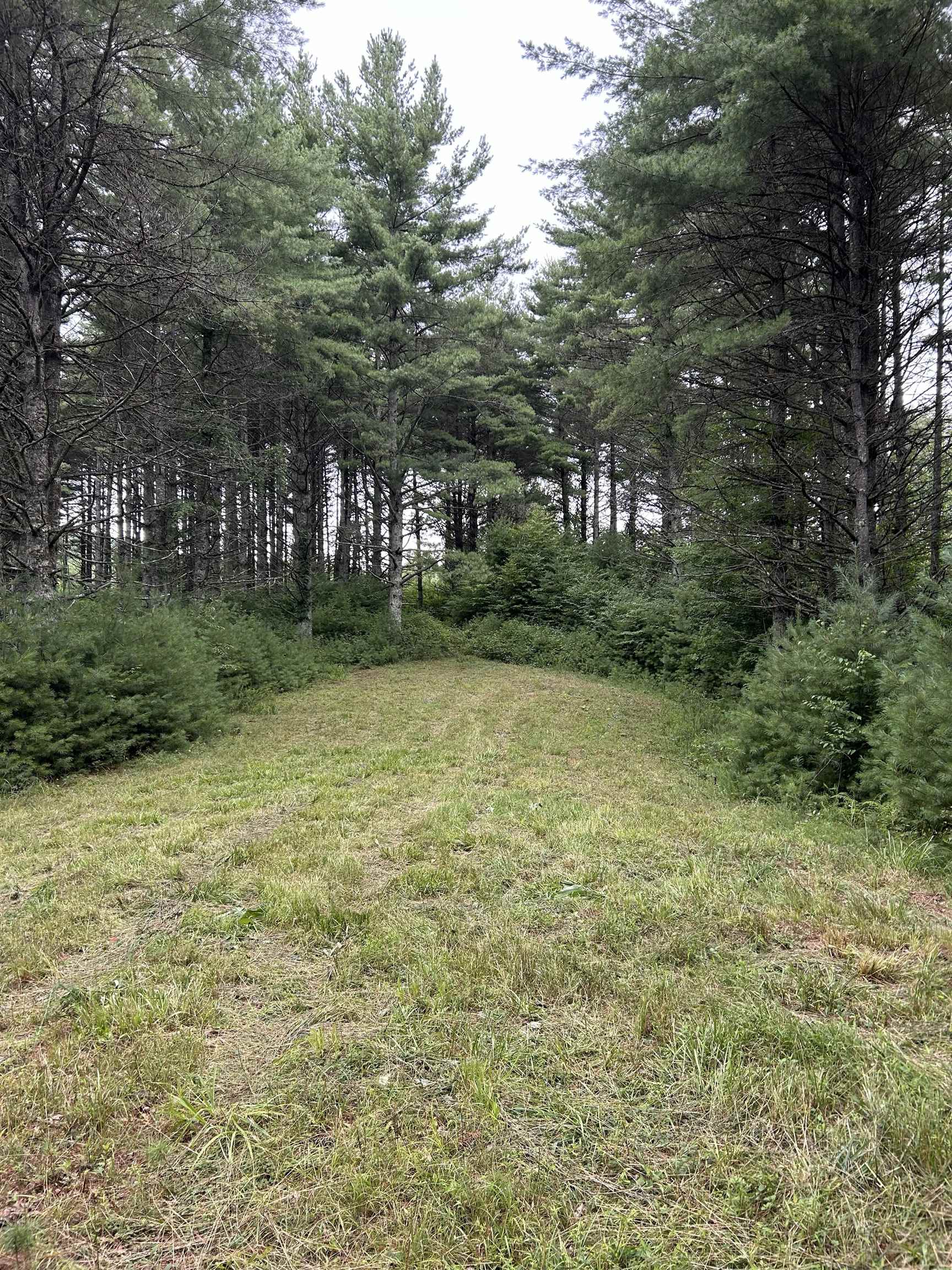 Tbd Akers Road NW Willis VA 24380