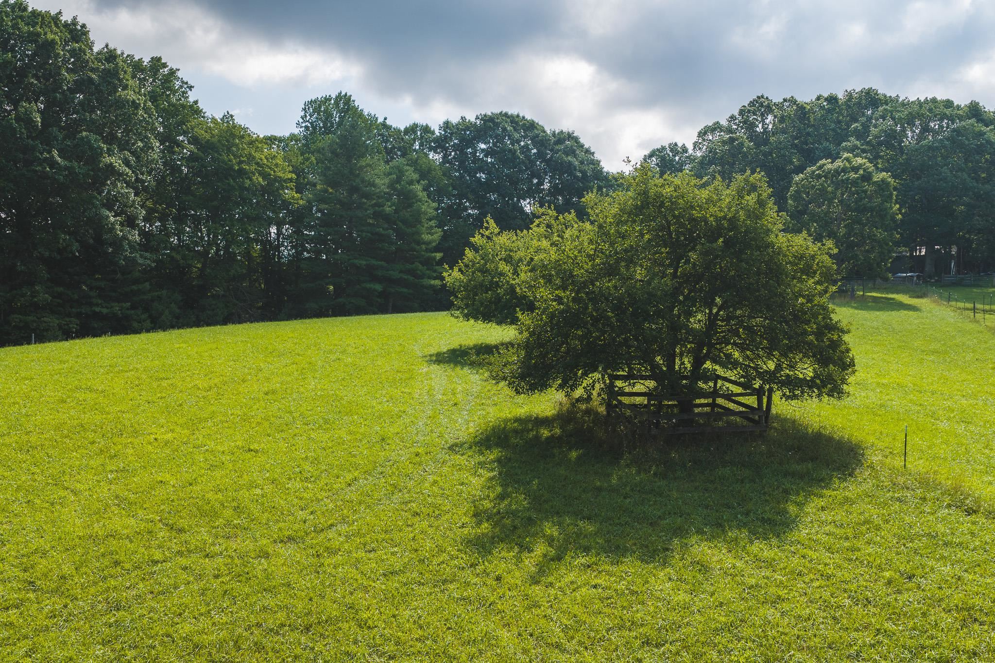 Tbd Akers Road NW Willis VA 24380
