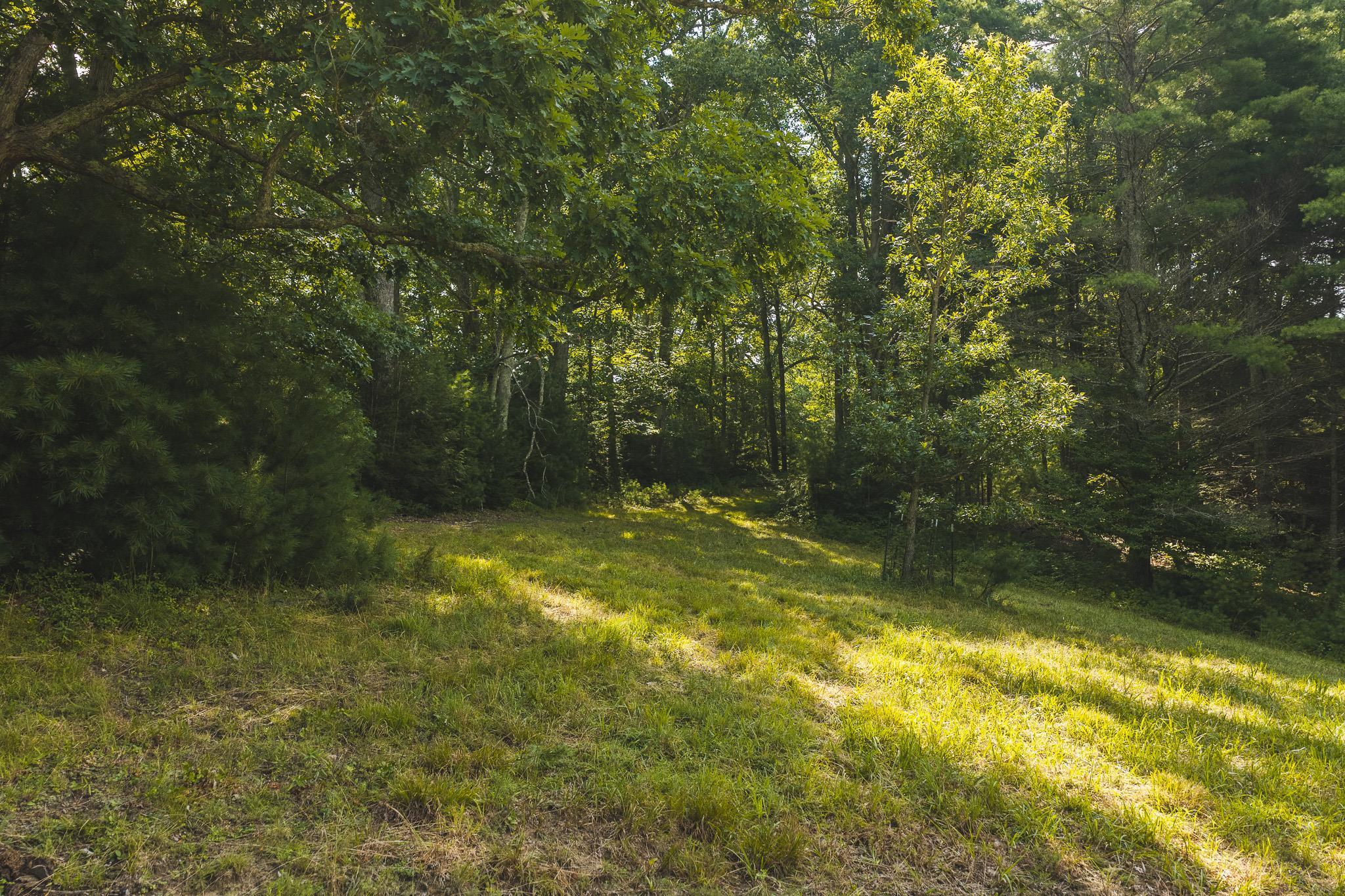 Tbd Akers Road NW Willis VA 24380