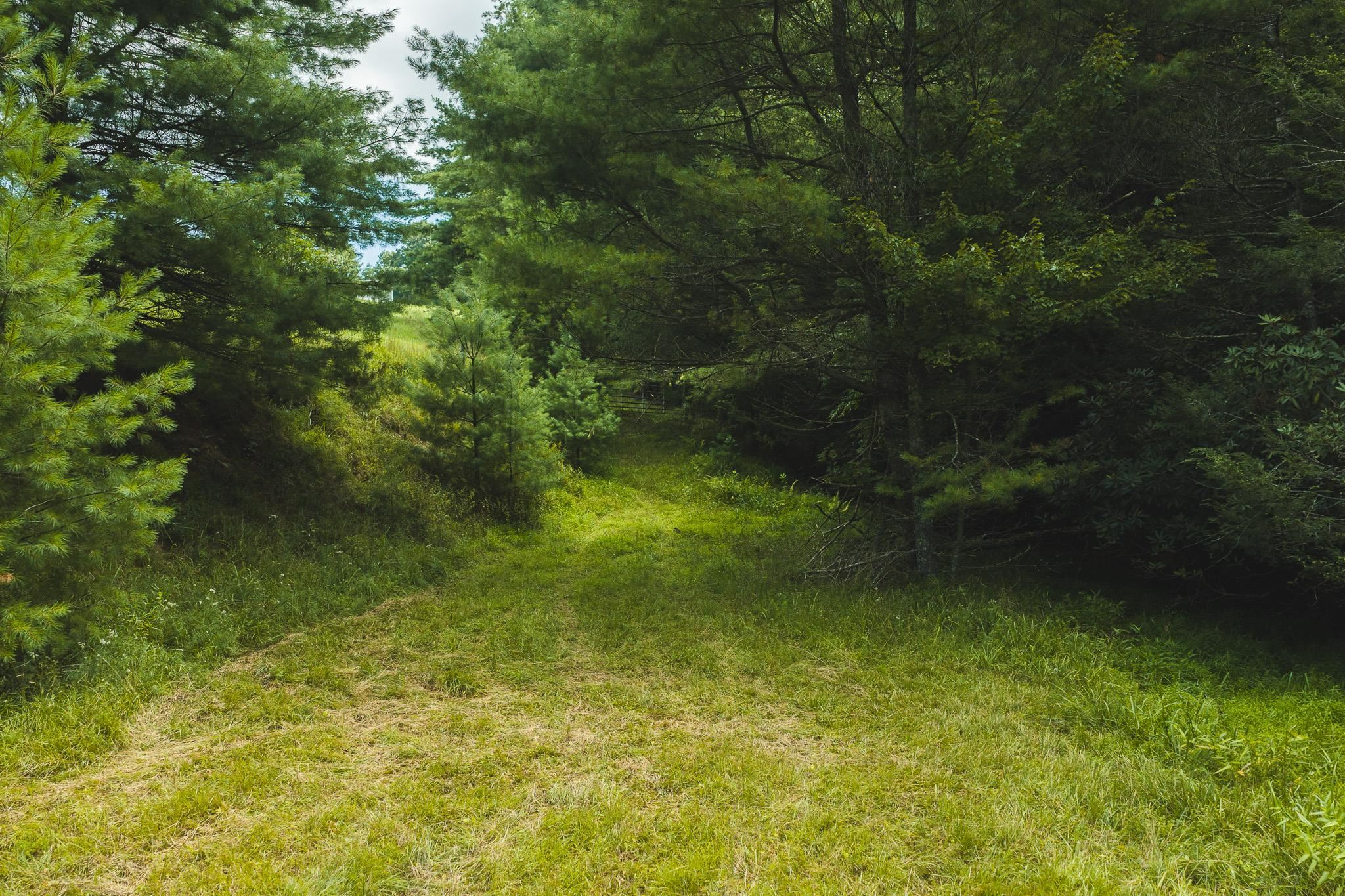 Tbd Akers Road NW Willis VA 24380