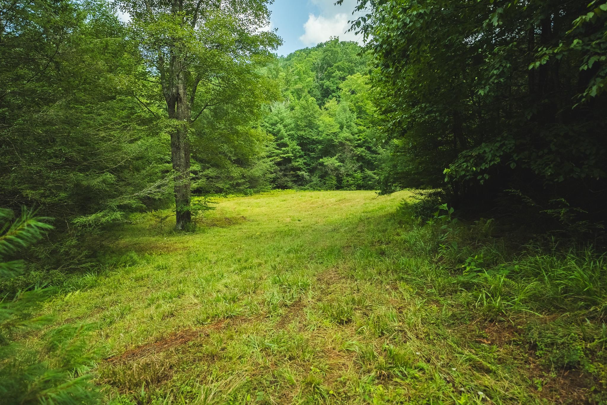 Tbd Akers Road NW Willis VA 24380