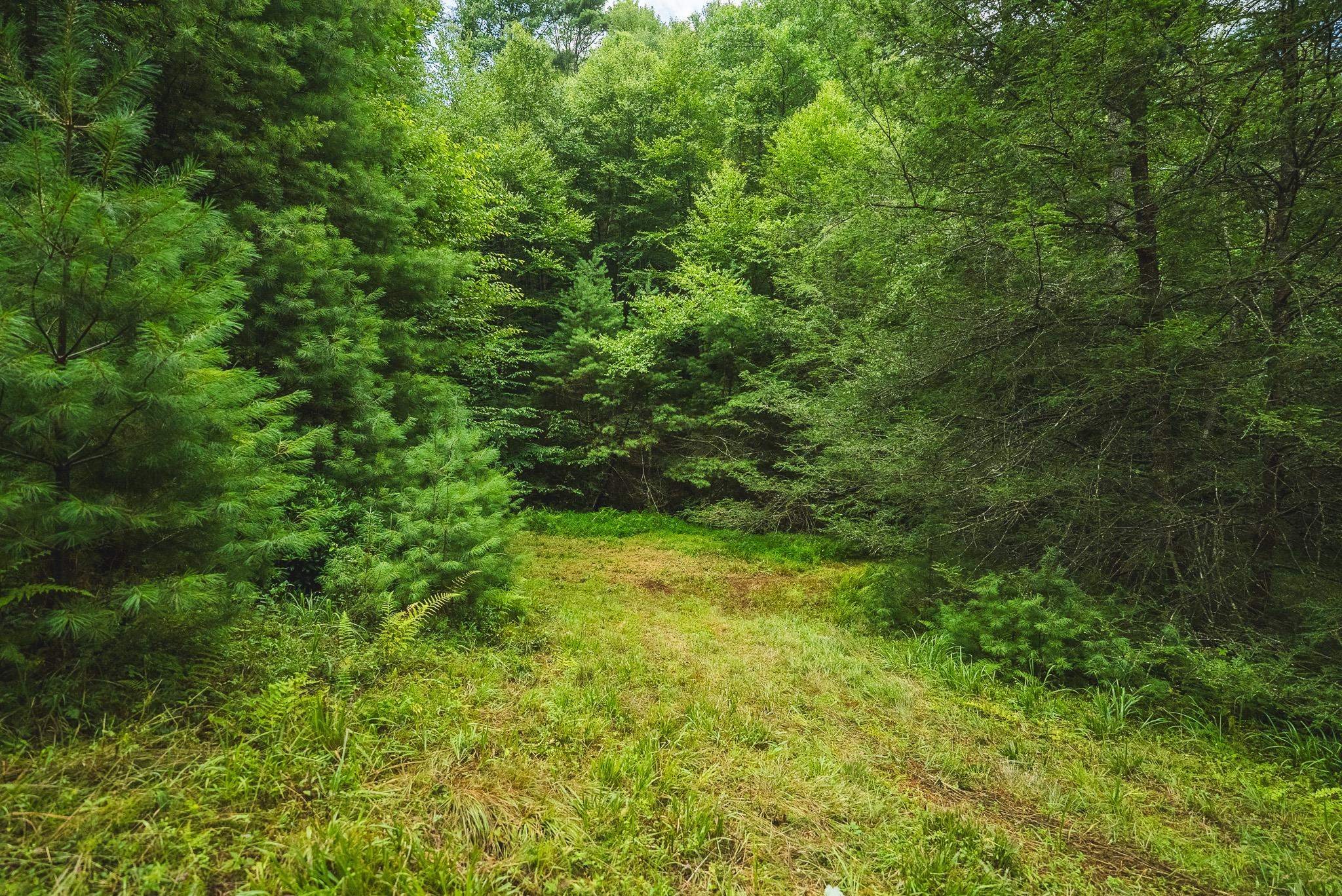 Tbd Akers Road NW Willis VA 24380