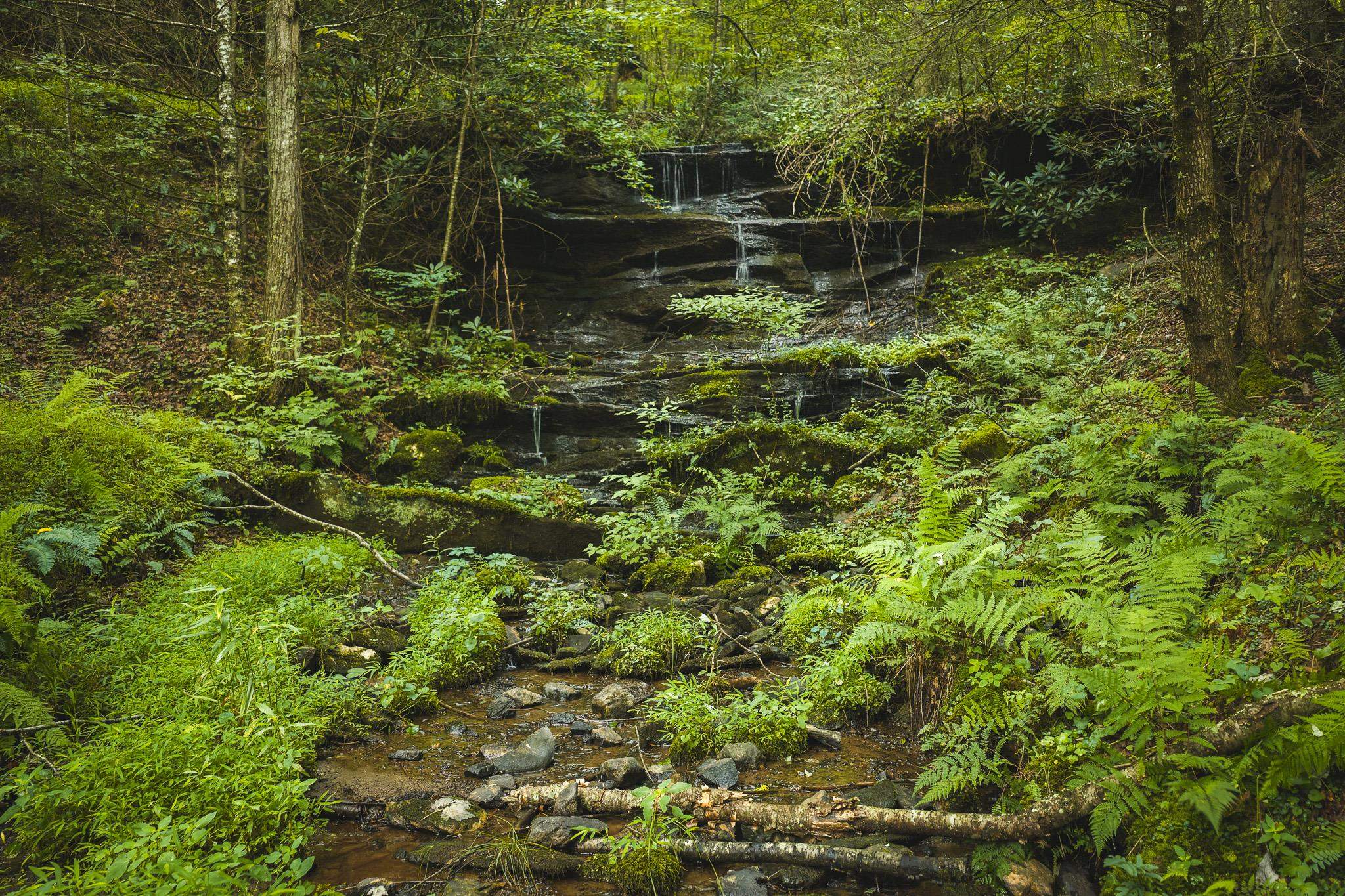 Tbd Akers Road NW Willis VA 24380