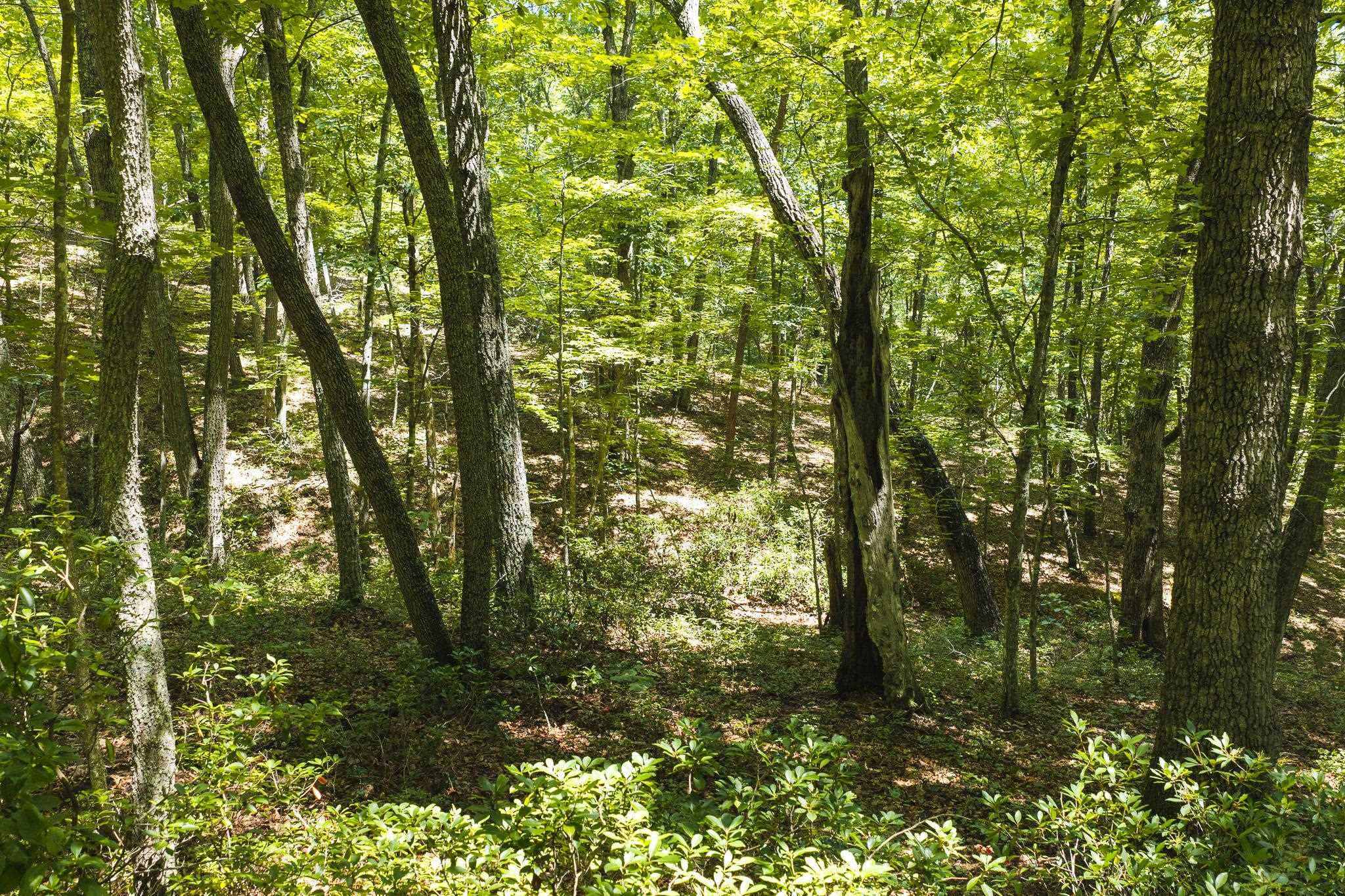 4279 Bradshaw Road Elliston VA 24087