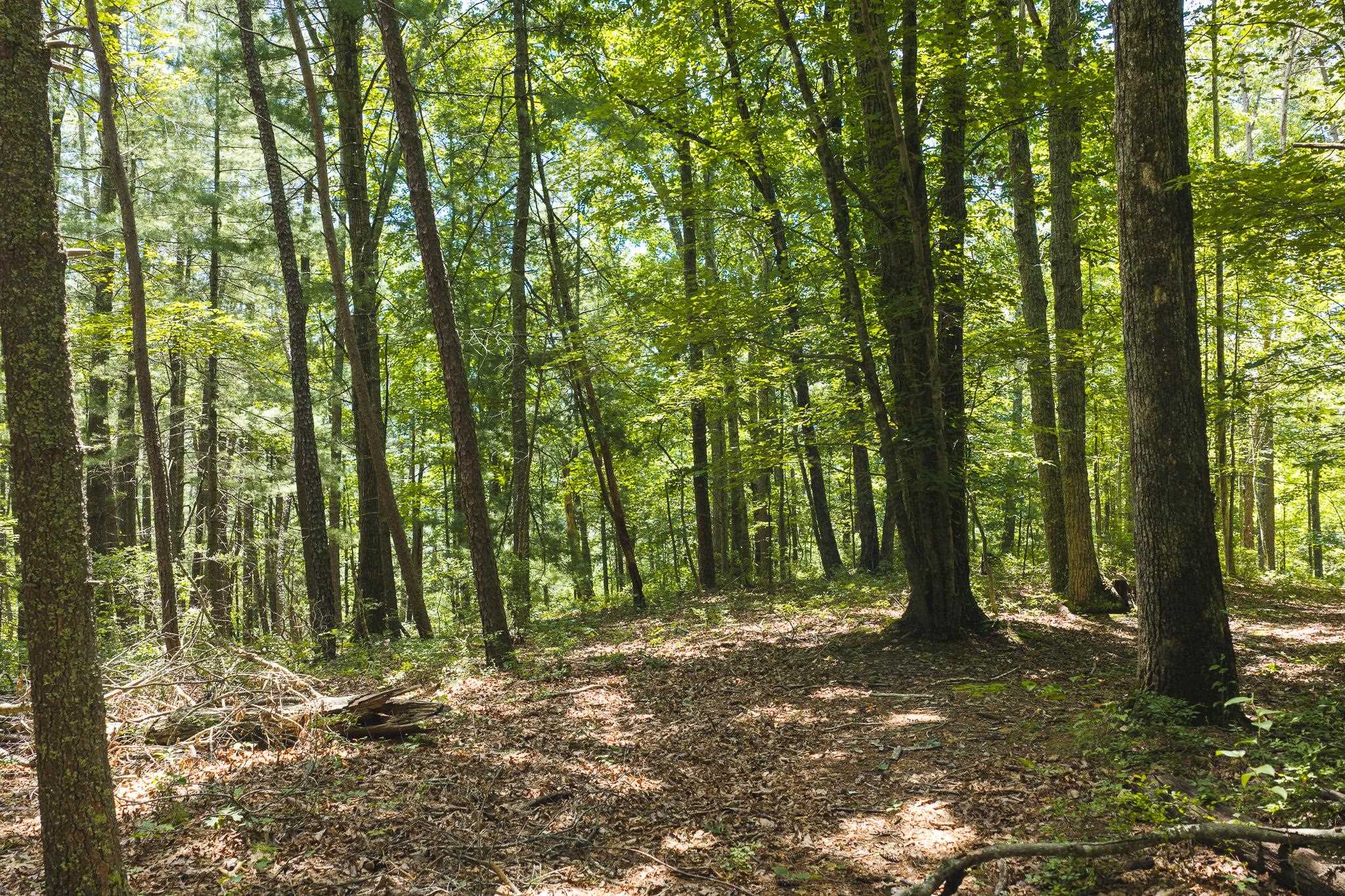 4279 Bradshaw Road Elliston VA 24087