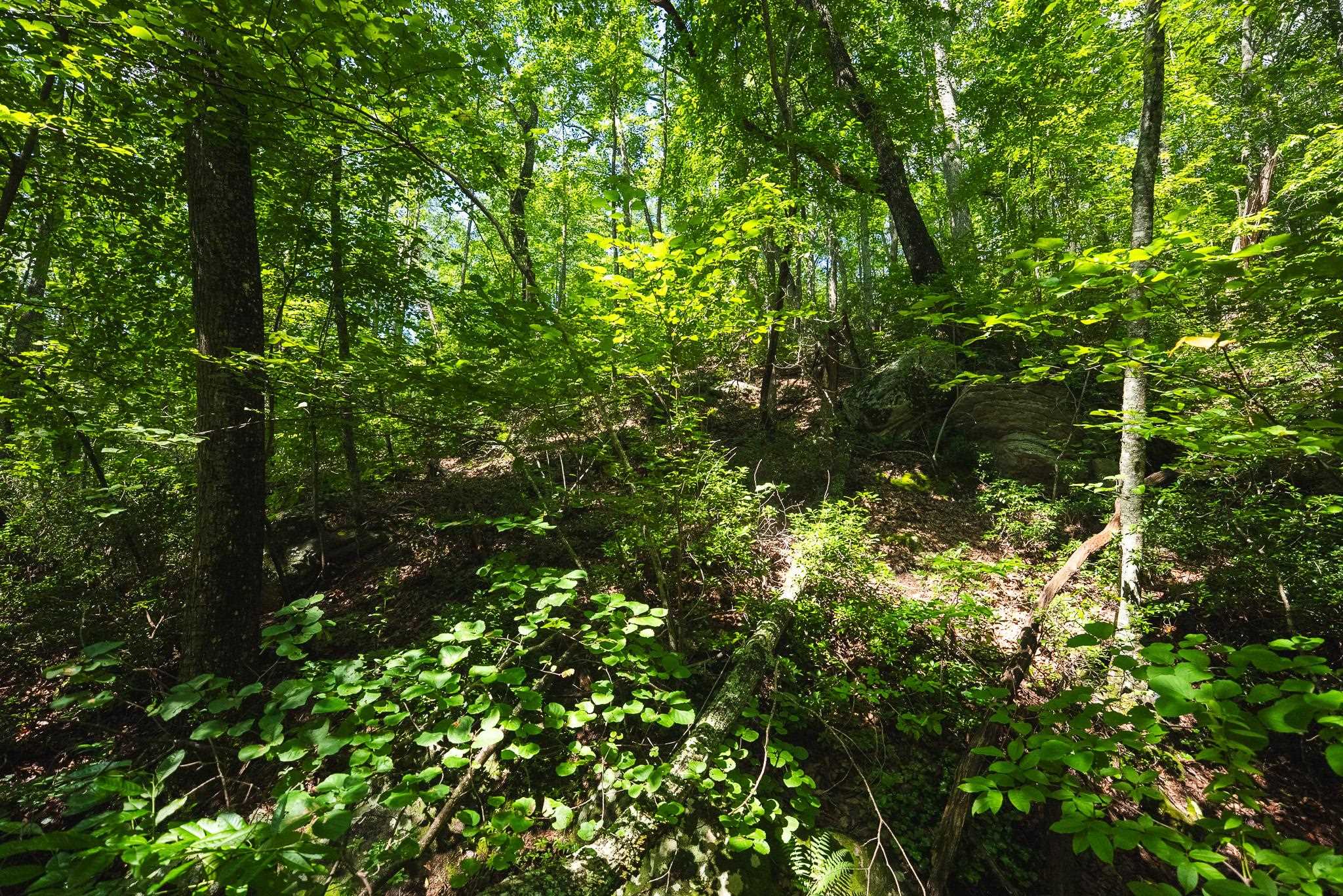 4279 Bradshaw Road Elliston VA 24087