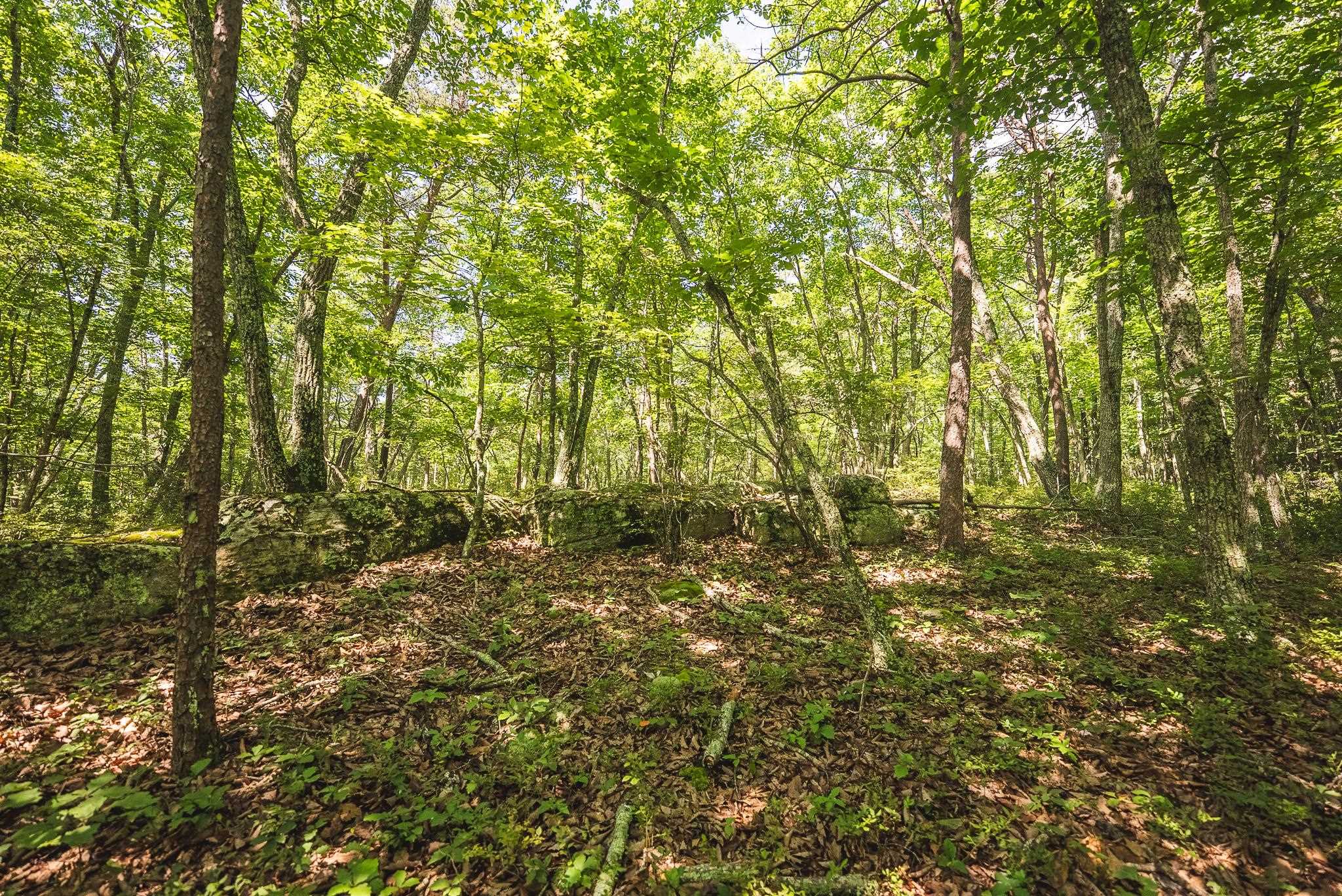 4279 Bradshaw Road Elliston VA 24087