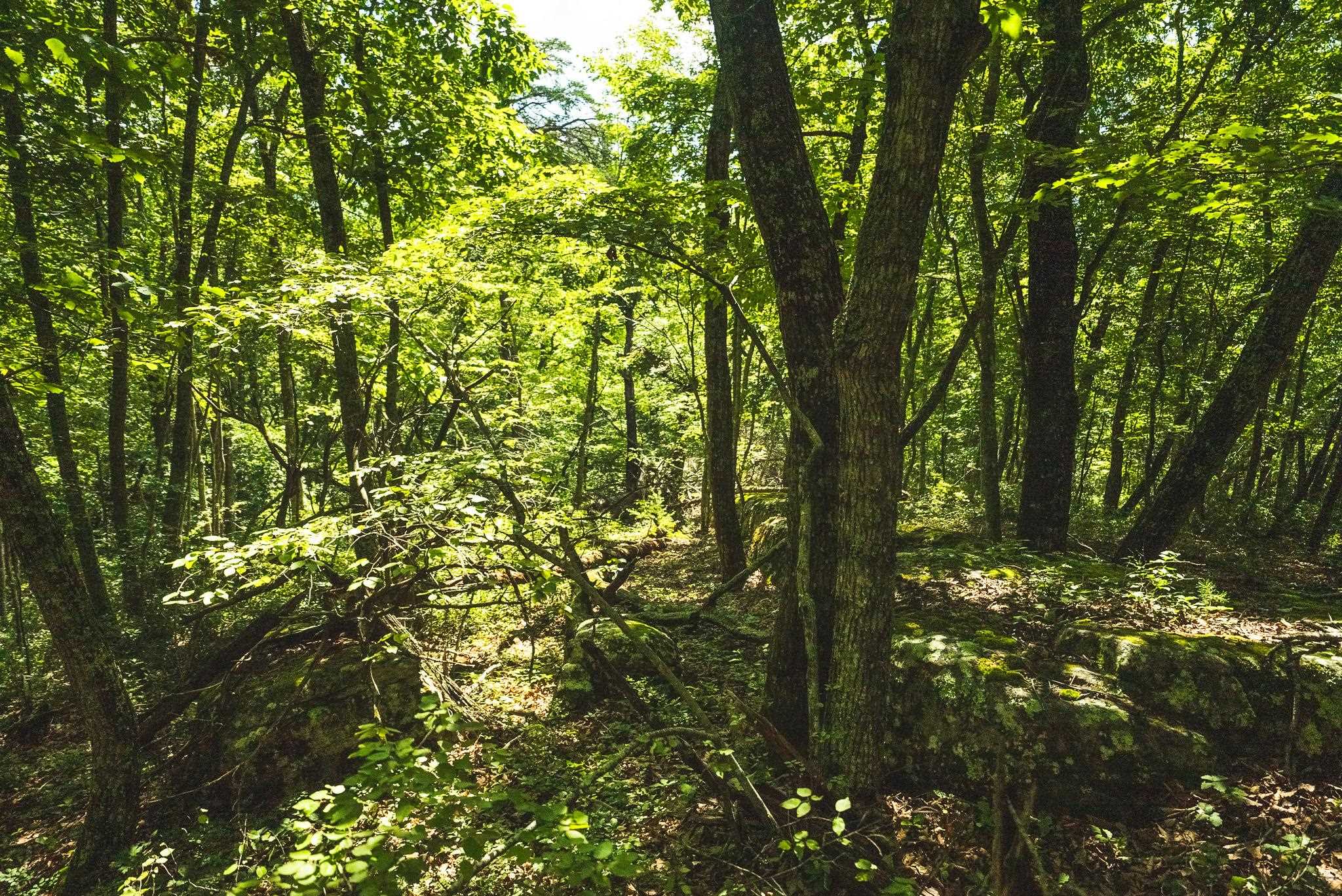 4279 Bradshaw Road Elliston VA 24087