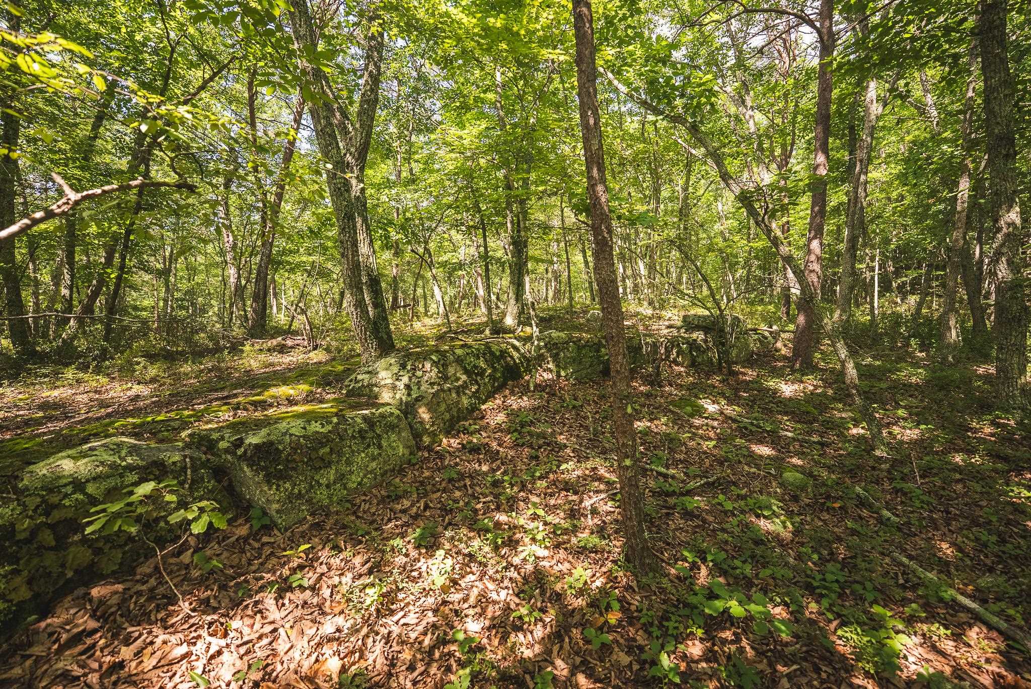 4279 Bradshaw Road Elliston VA 24087
