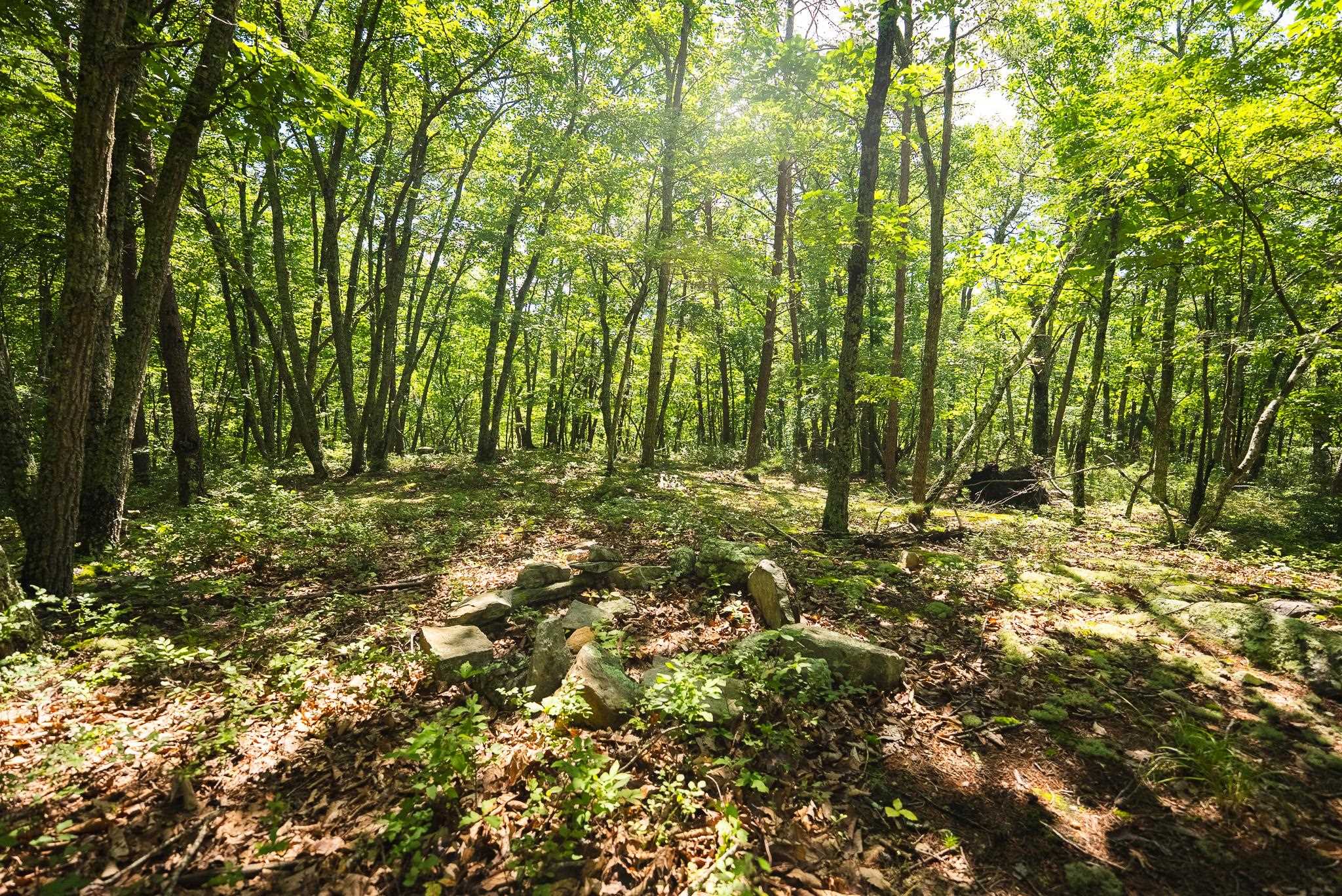 4279 Bradshaw Road Elliston VA 24087