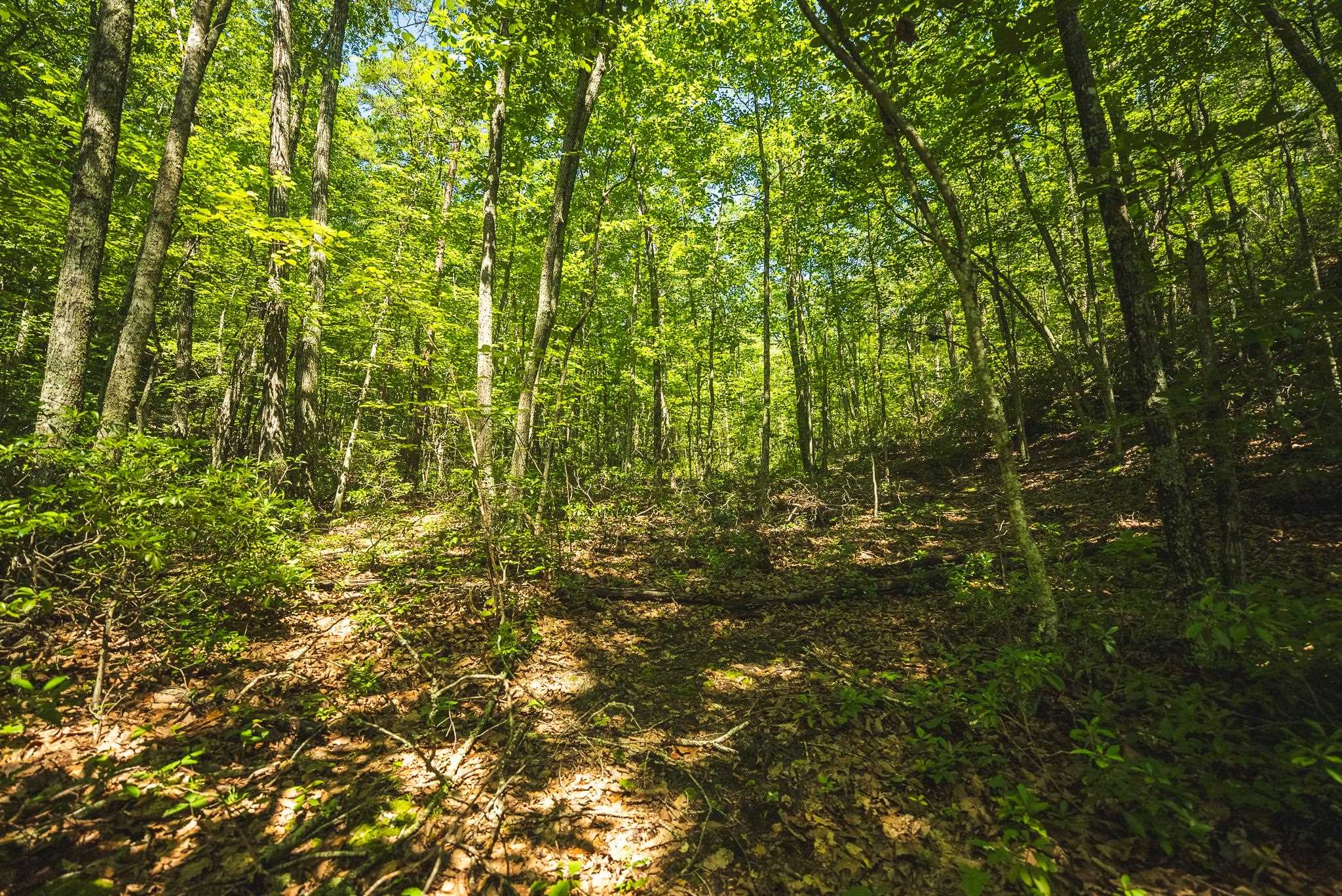 4279 Bradshaw Road Elliston VA 24087