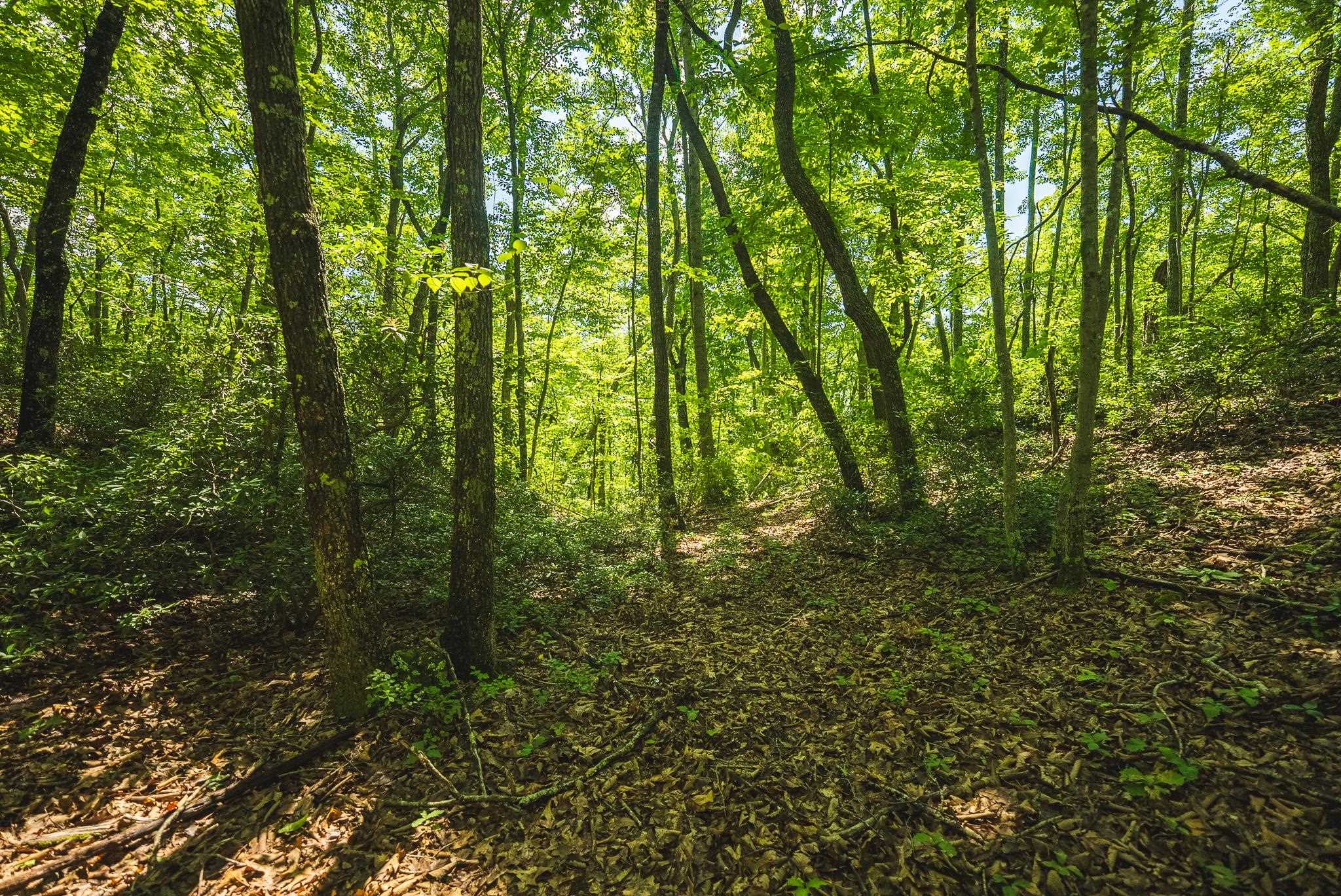 4279 Bradshaw Road Elliston VA 24087