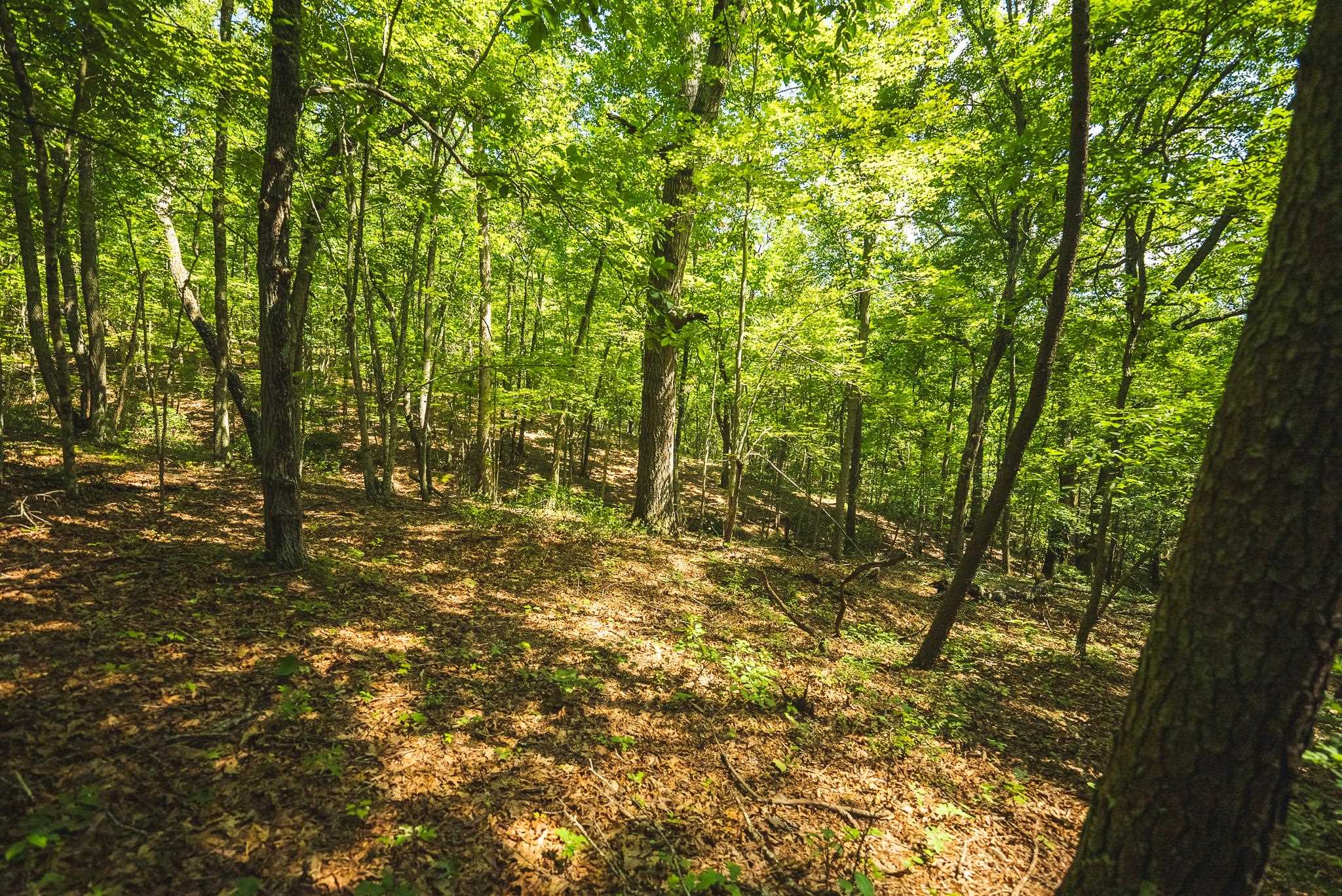 4279 Bradshaw Road Elliston VA 24087