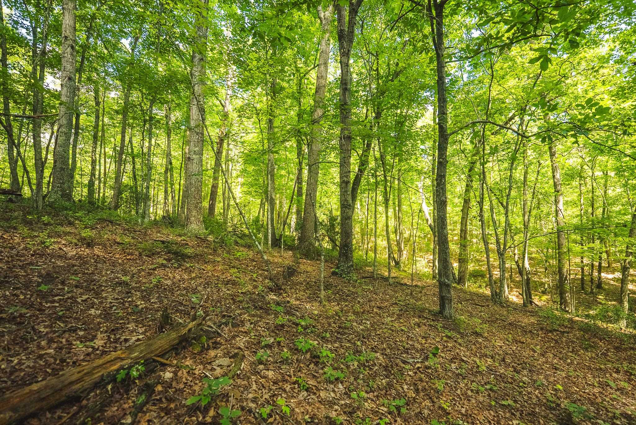 4279 Bradshaw Road Elliston VA 24087