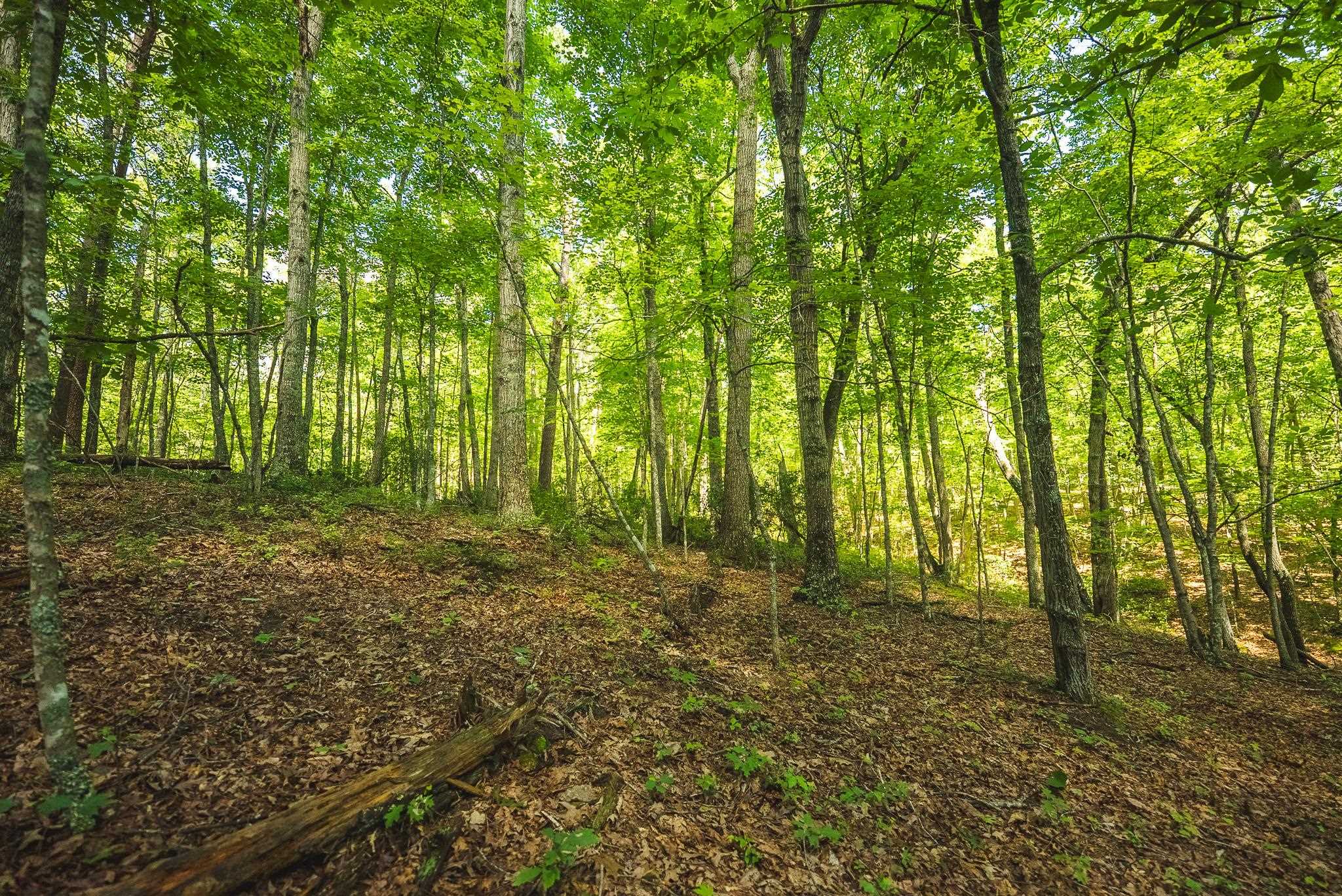 4279 Bradshaw Road Elliston VA 24087