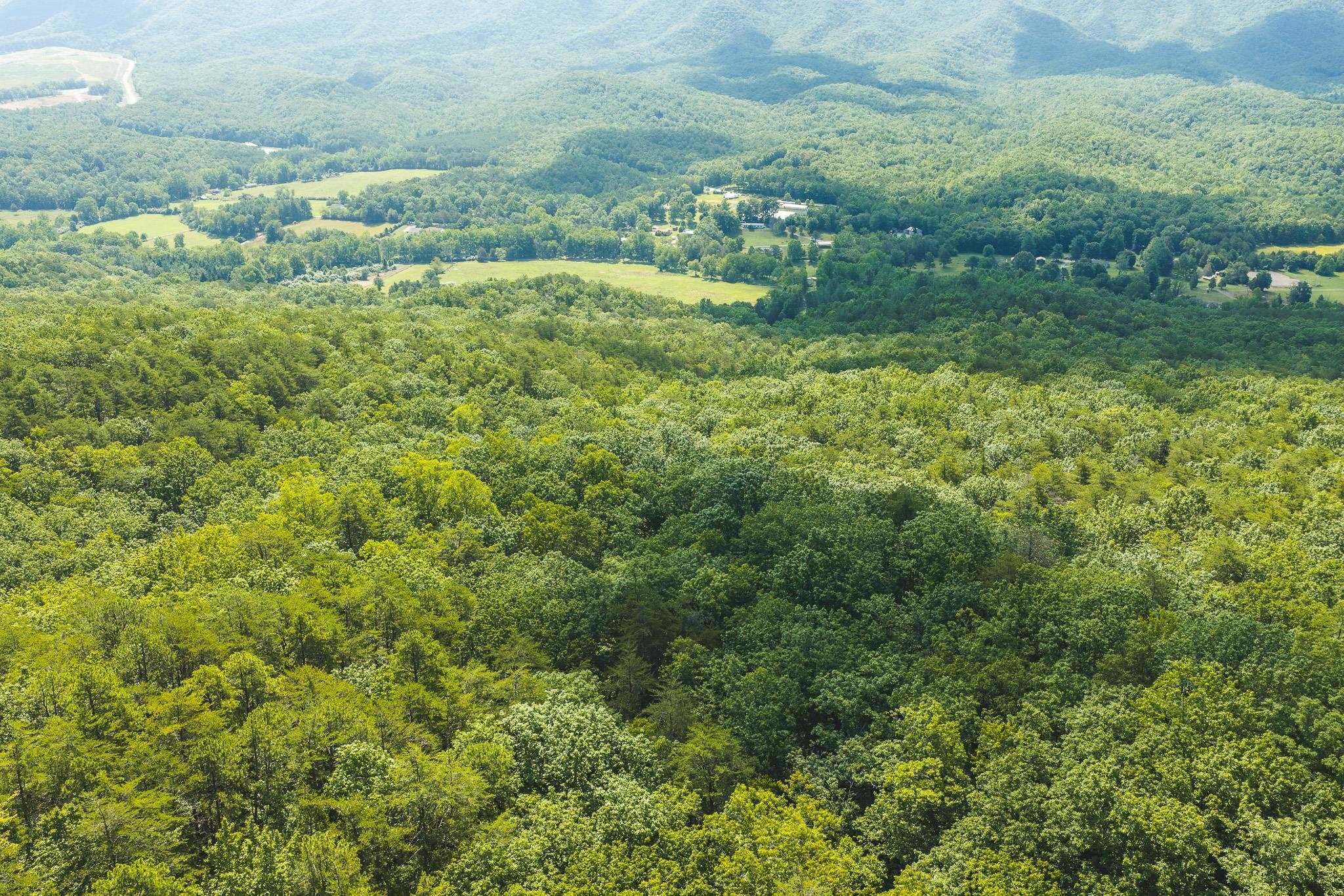 4279 Bradshaw Road Elliston VA 24087