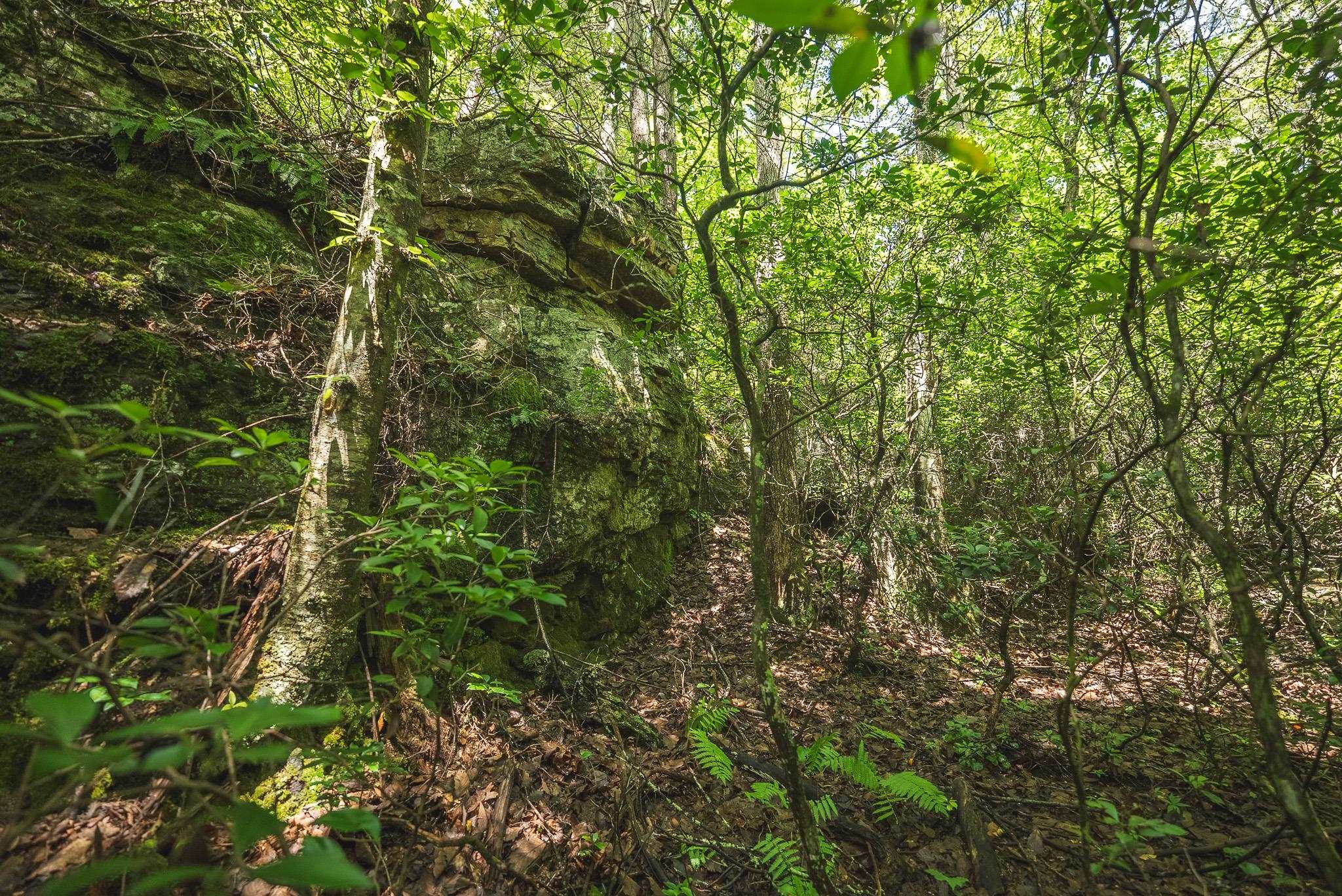 4279 Bradshaw Road Elliston VA 24087