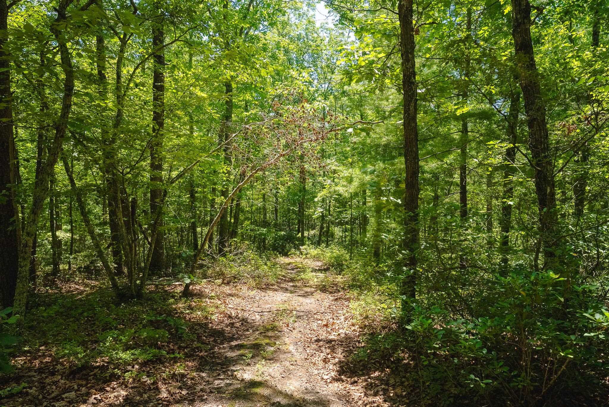4279 Bradshaw Road Elliston VA 24087