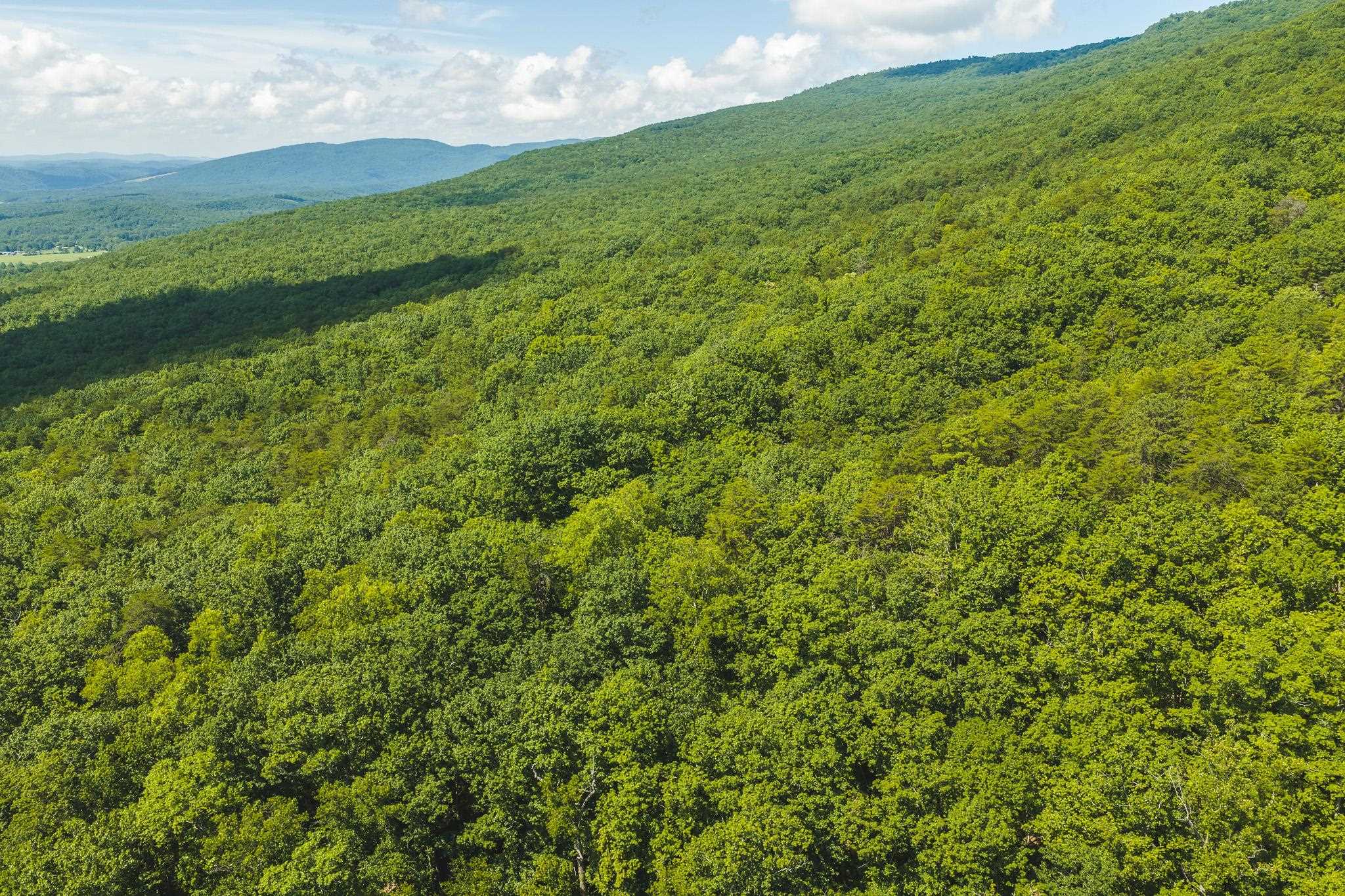 4279 Bradshaw Road Elliston VA 24087