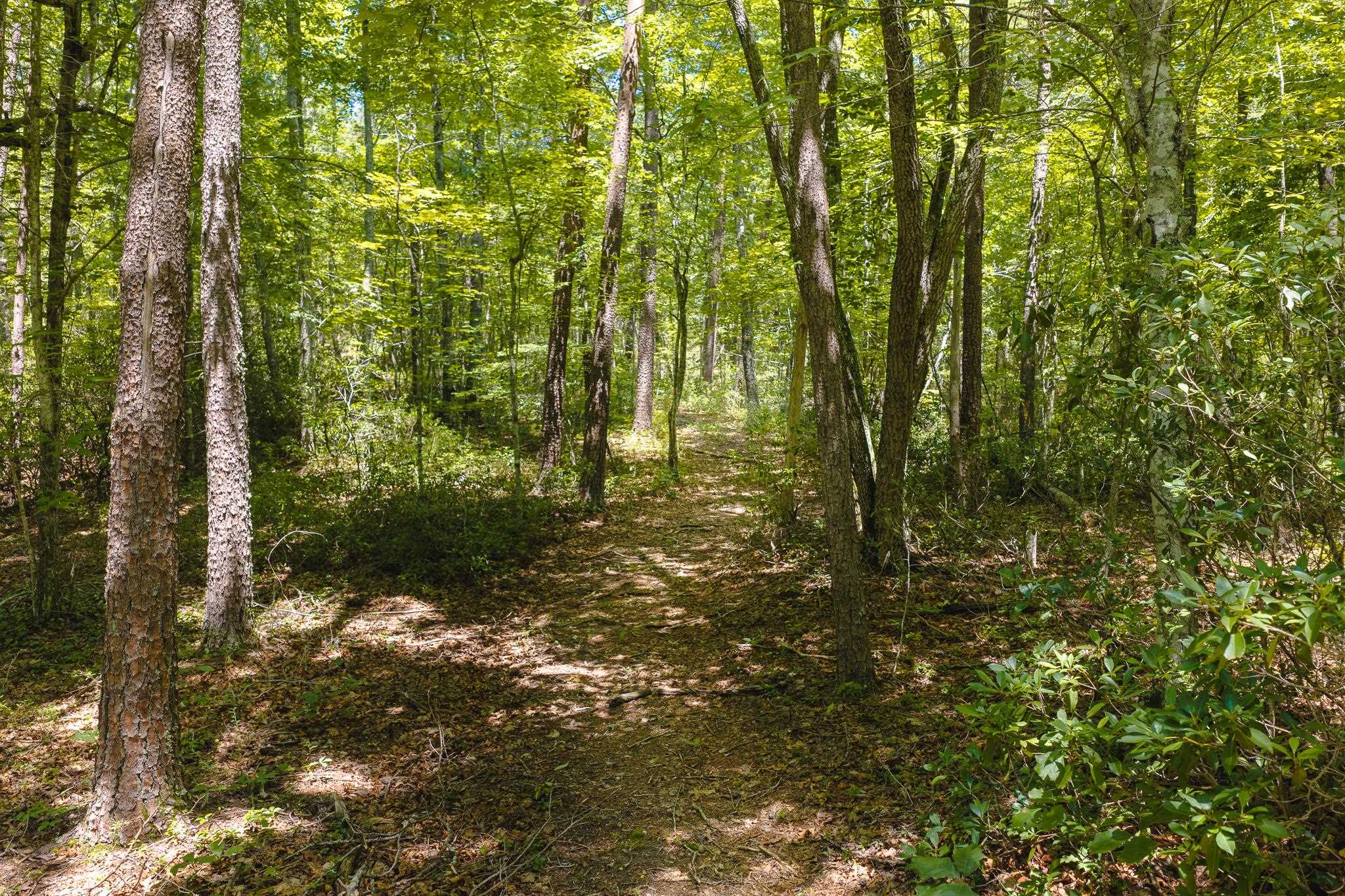 4279 Bradshaw Road Elliston VA 24087