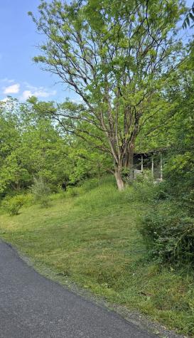 2470 Yellow Sulphur Road Christiansburg VA 24073