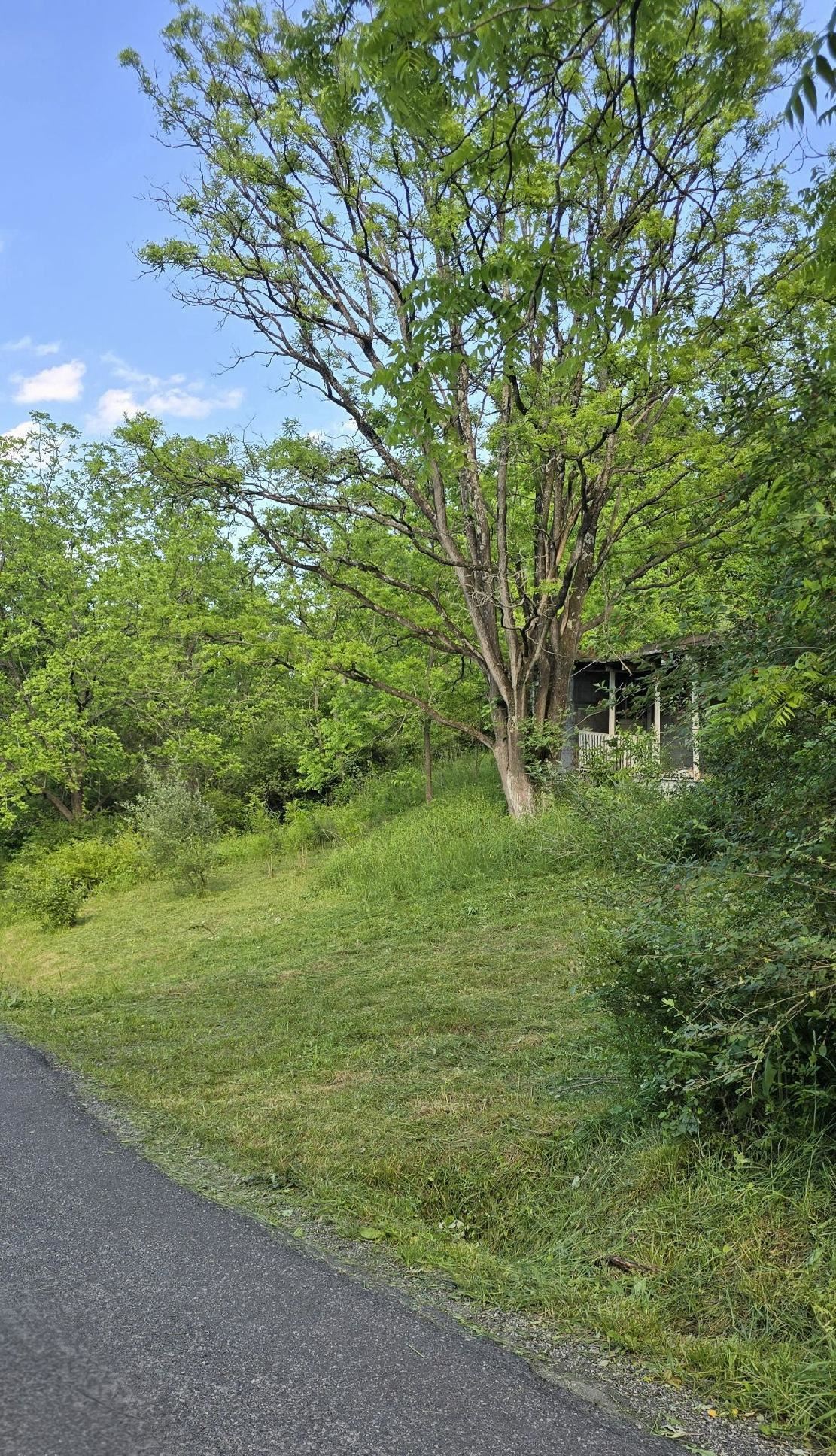 2470 Yellow Sulphur Road Christiansburg VA 24073