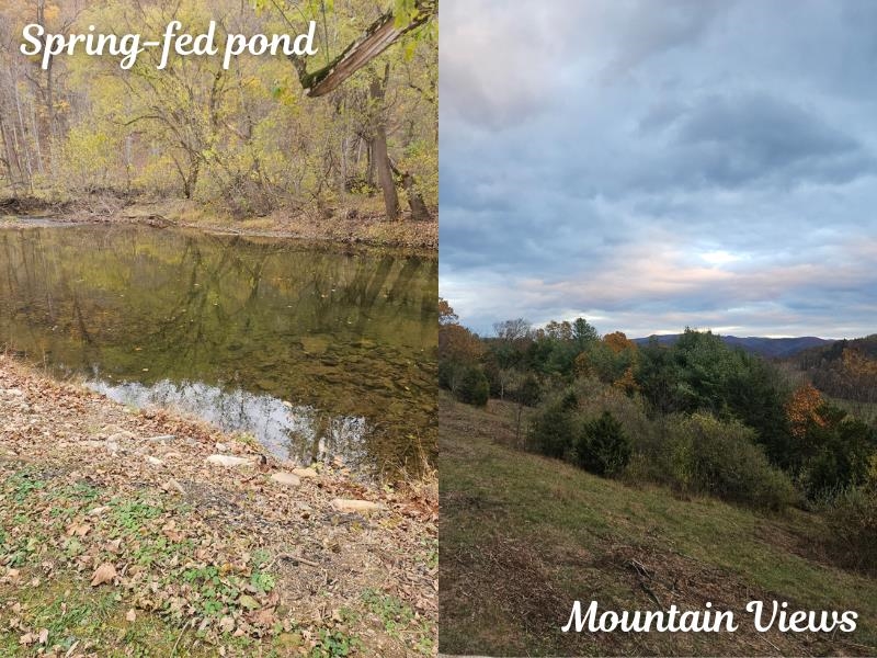 Tbd Boyd Road Draper VA 24324