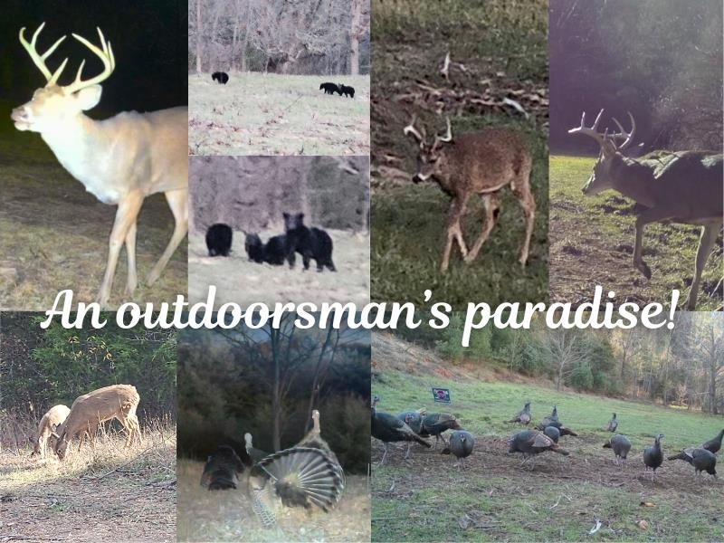 Tbd Boyd Road Draper VA 24324