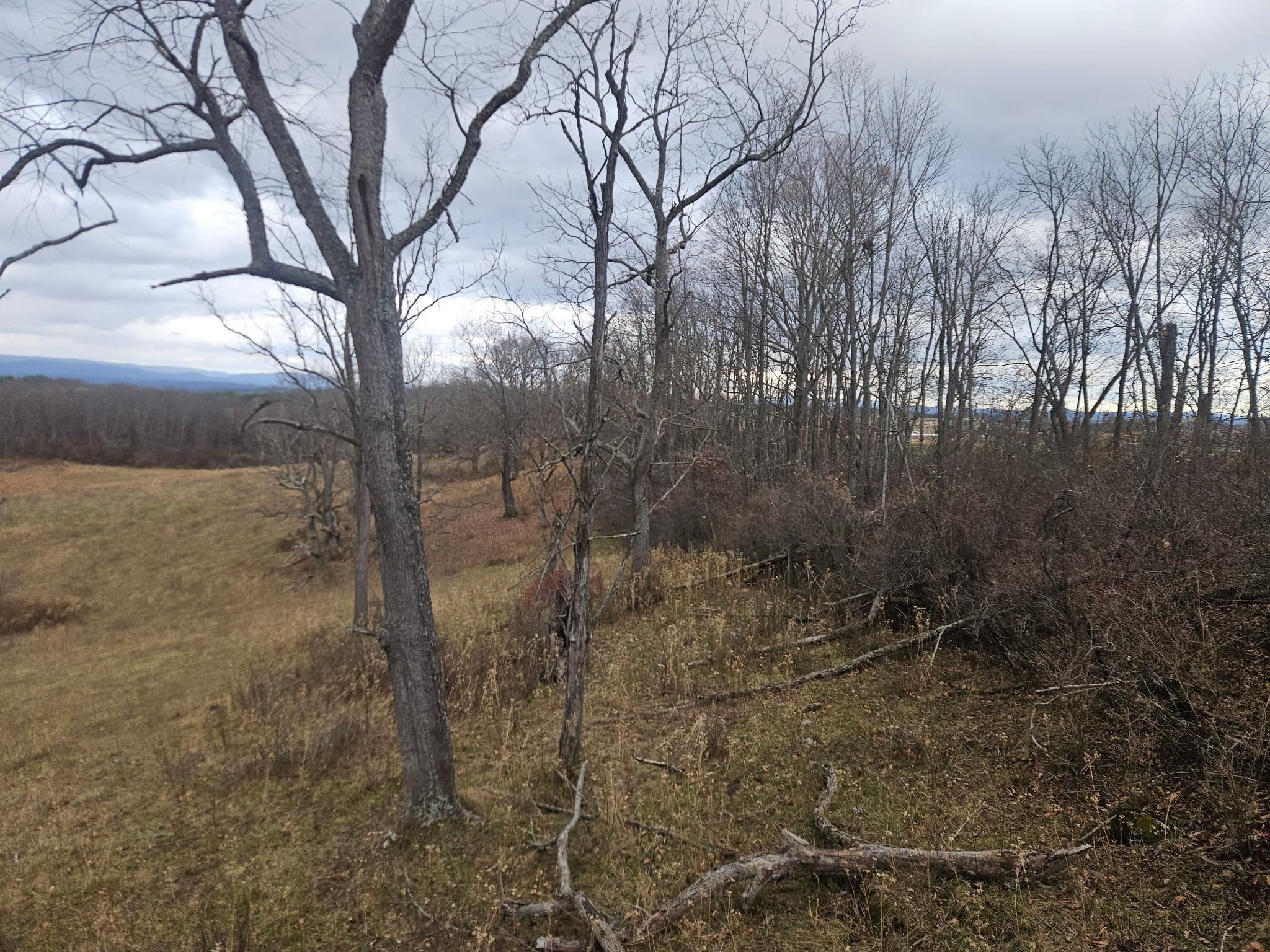 Tbd Boyd Road Draper VA 24324