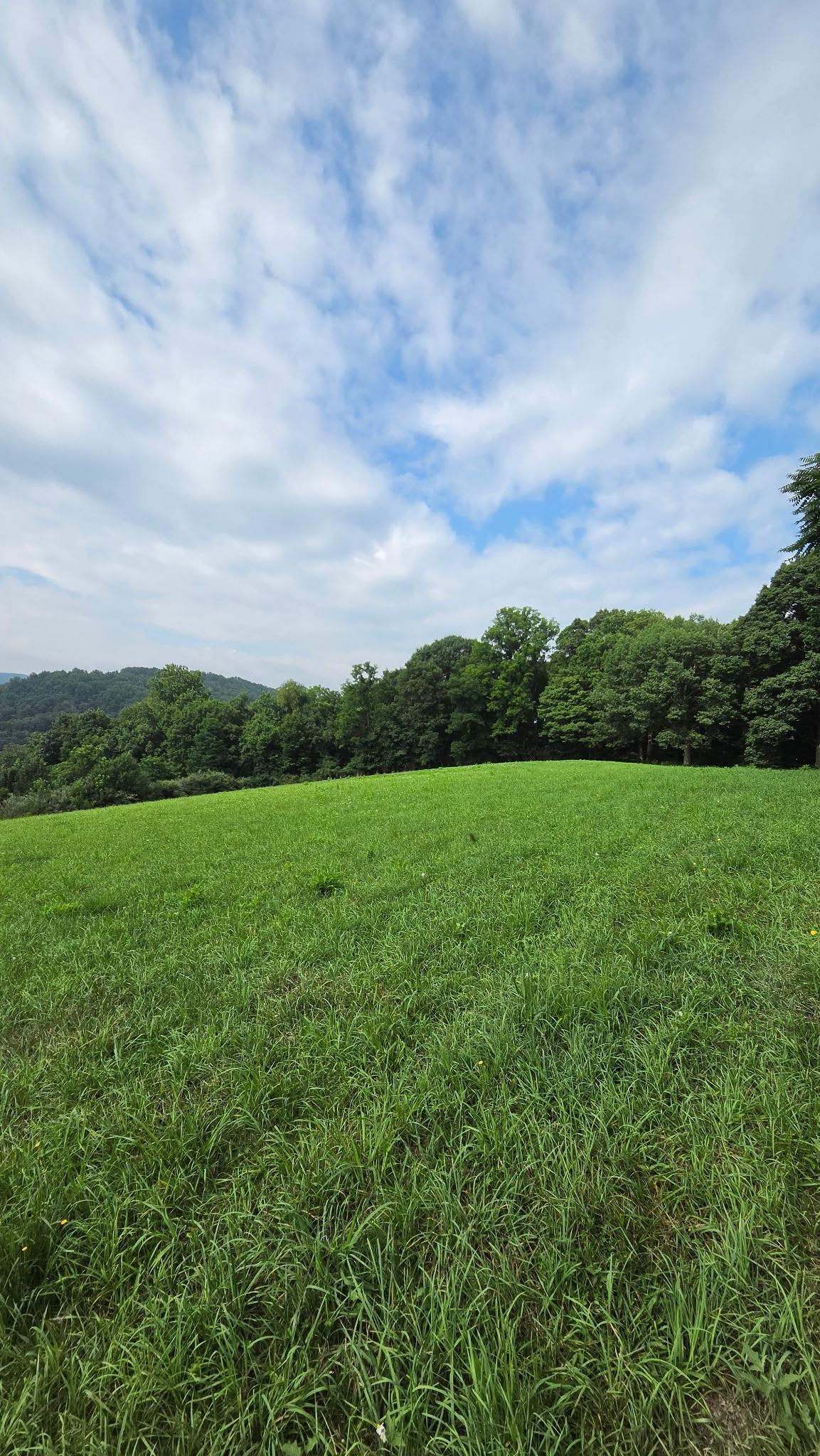 0 Sinking Creek Road Pembroke VA 24136