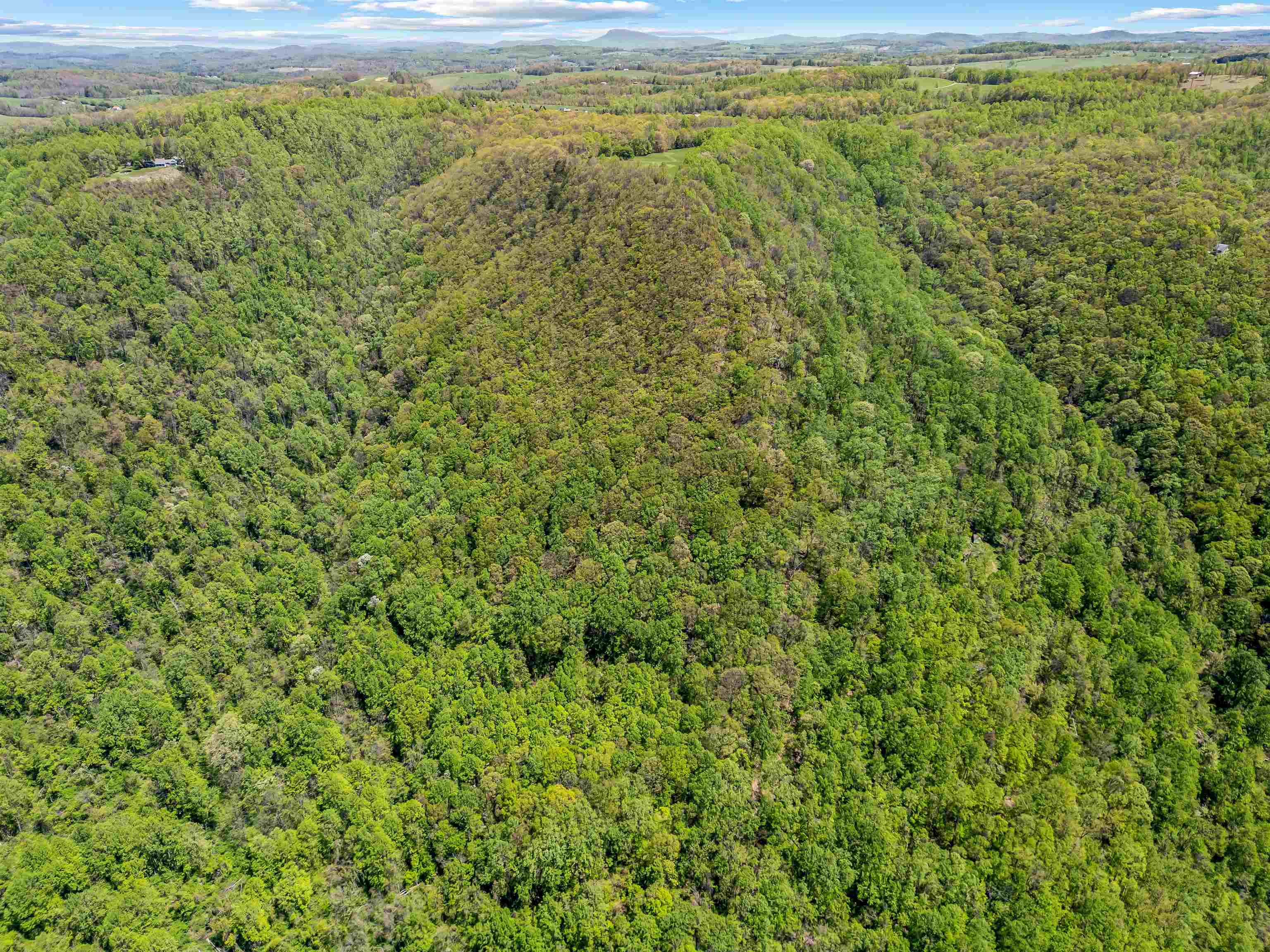 800 Volunteer Road Fancy Gap VA 24328